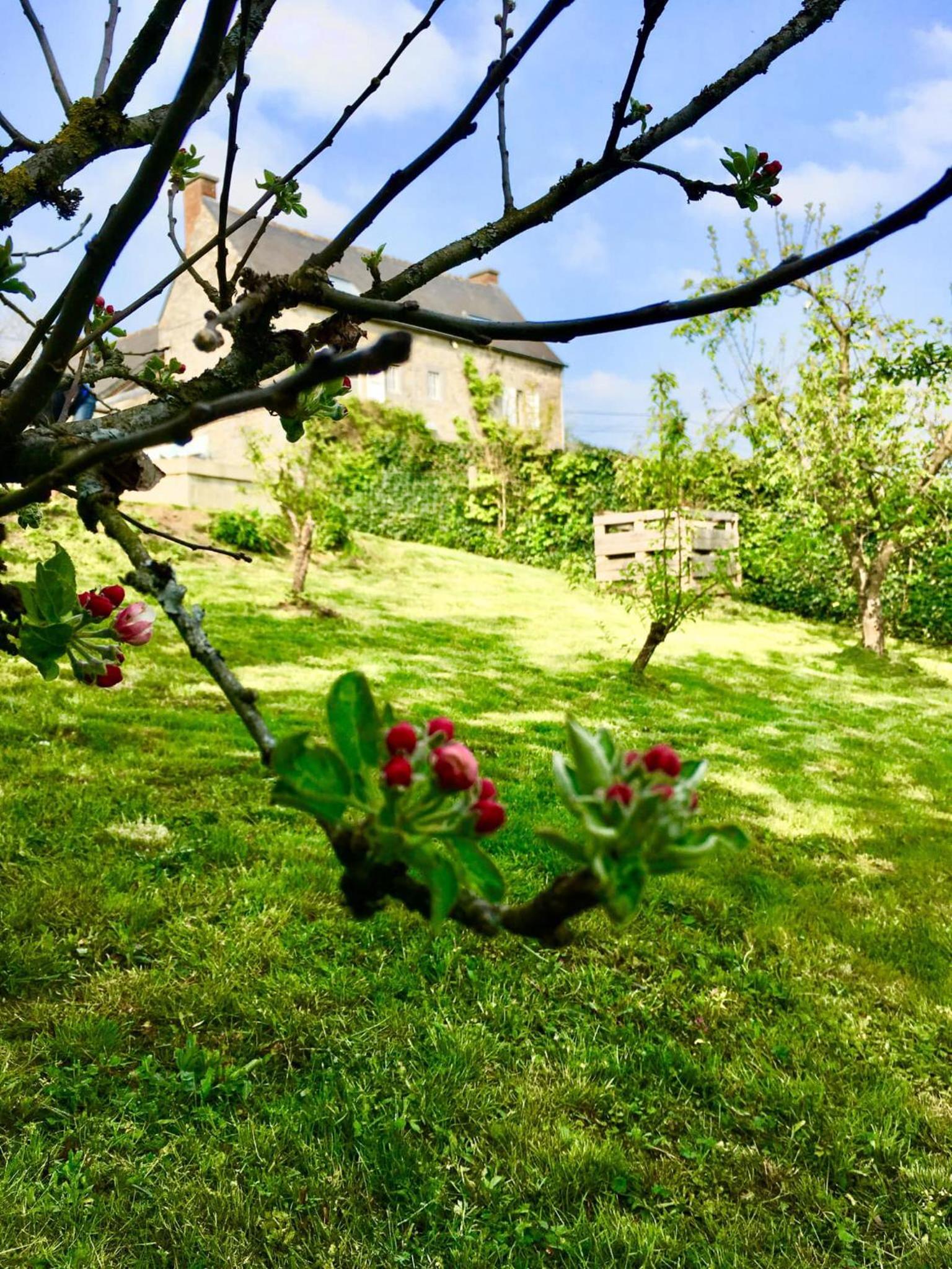 Gite La Petite Beurrerie des Ardennes