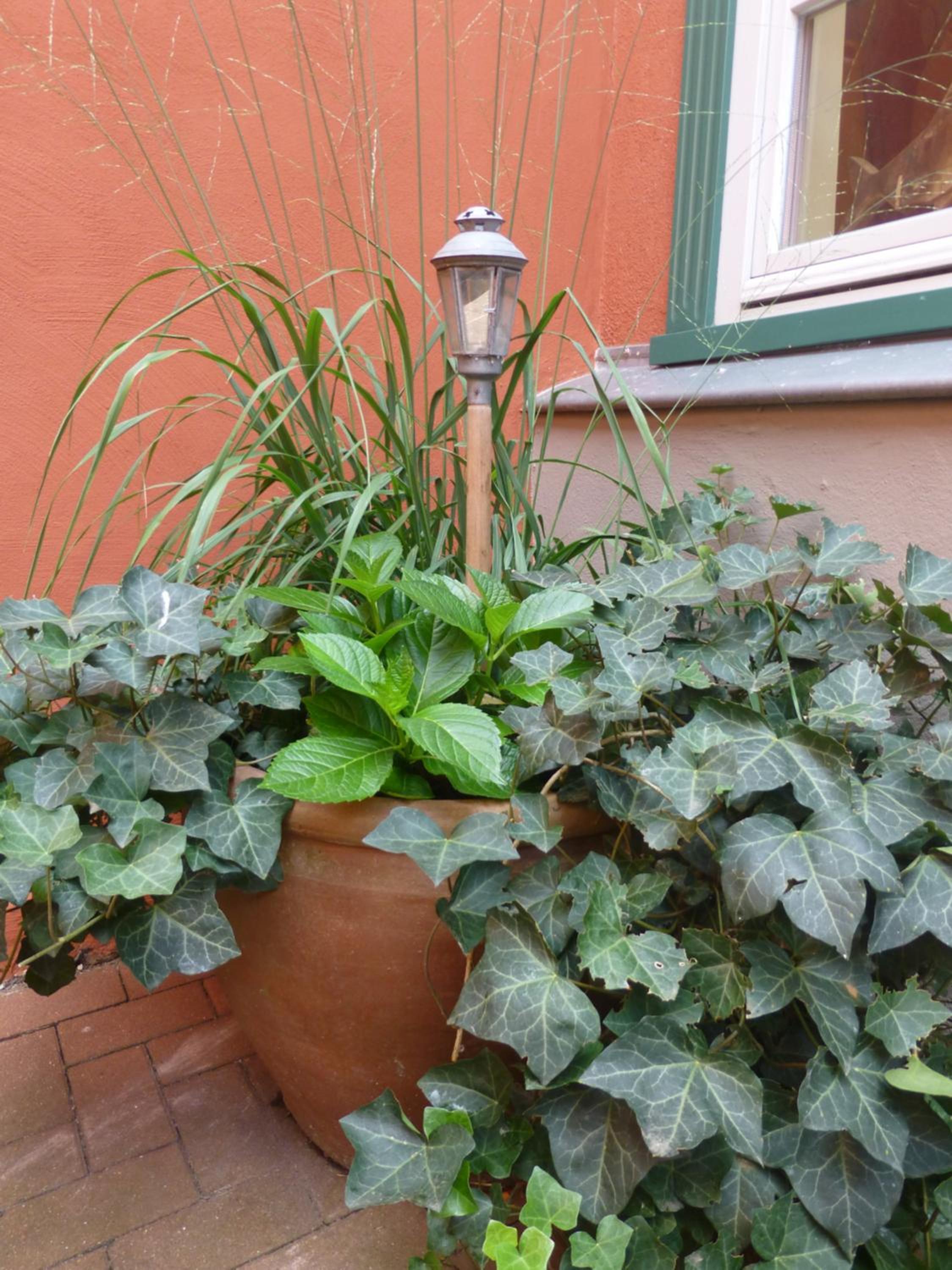 Photo 36
