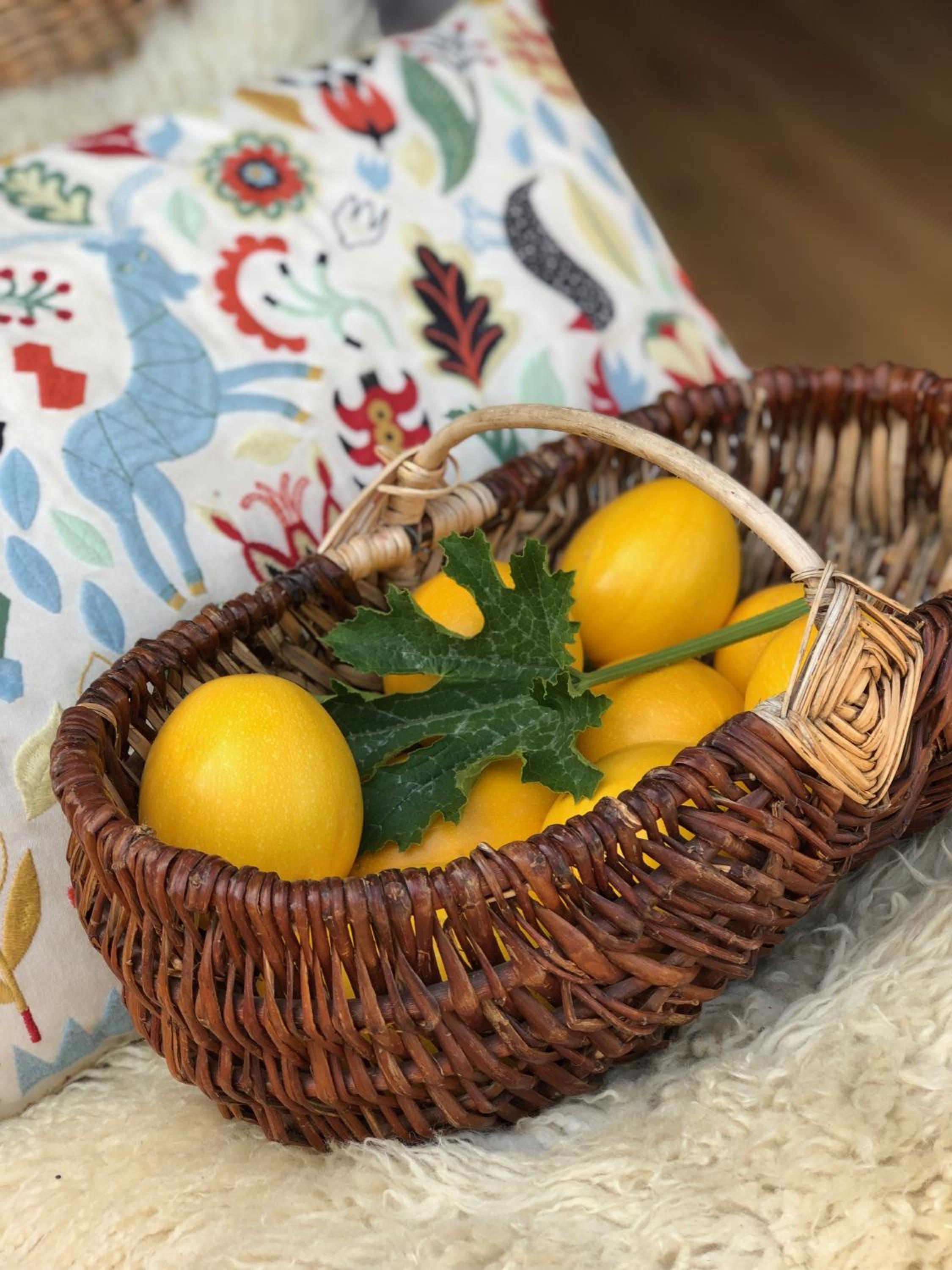 Rejaillir - Property Image 4