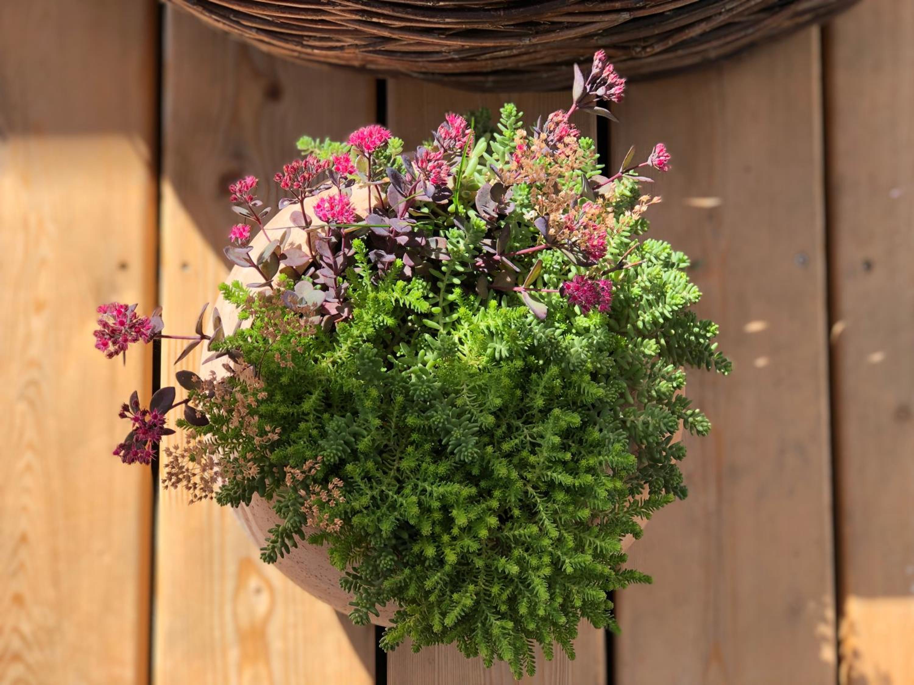 Rejaillir - Property Image 17