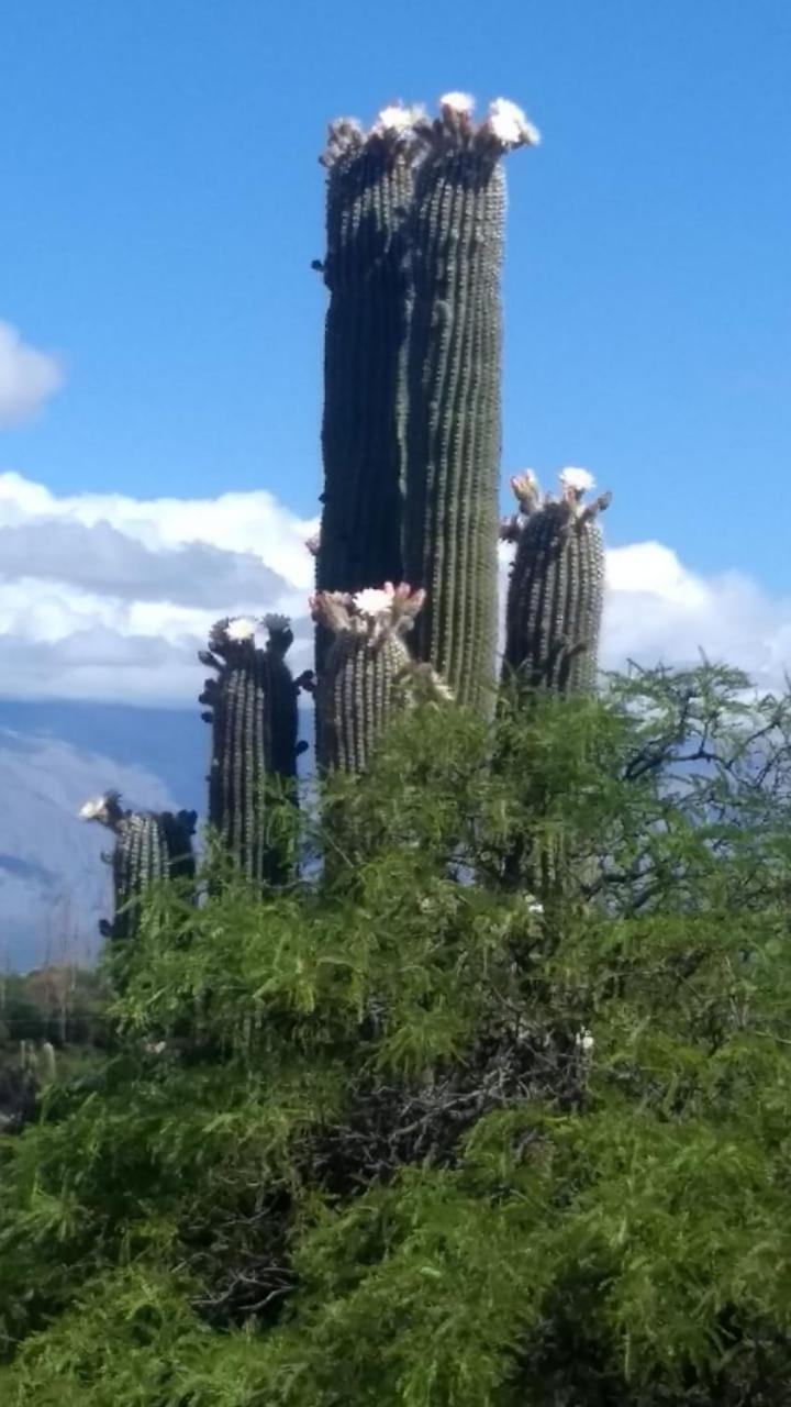 Cabañas Achalay – Refugio en Santa María