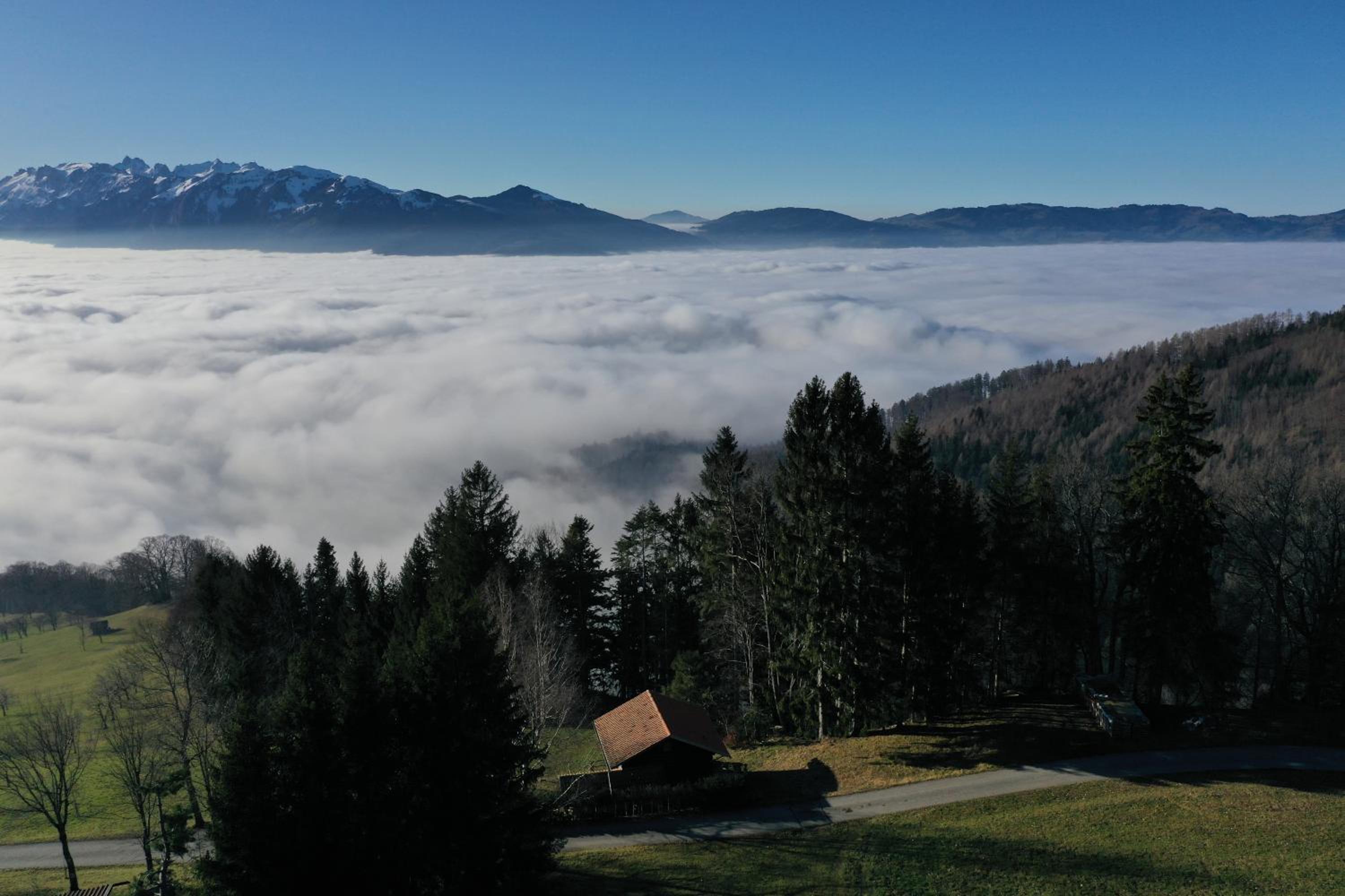 Ferienhaus Fernblick
