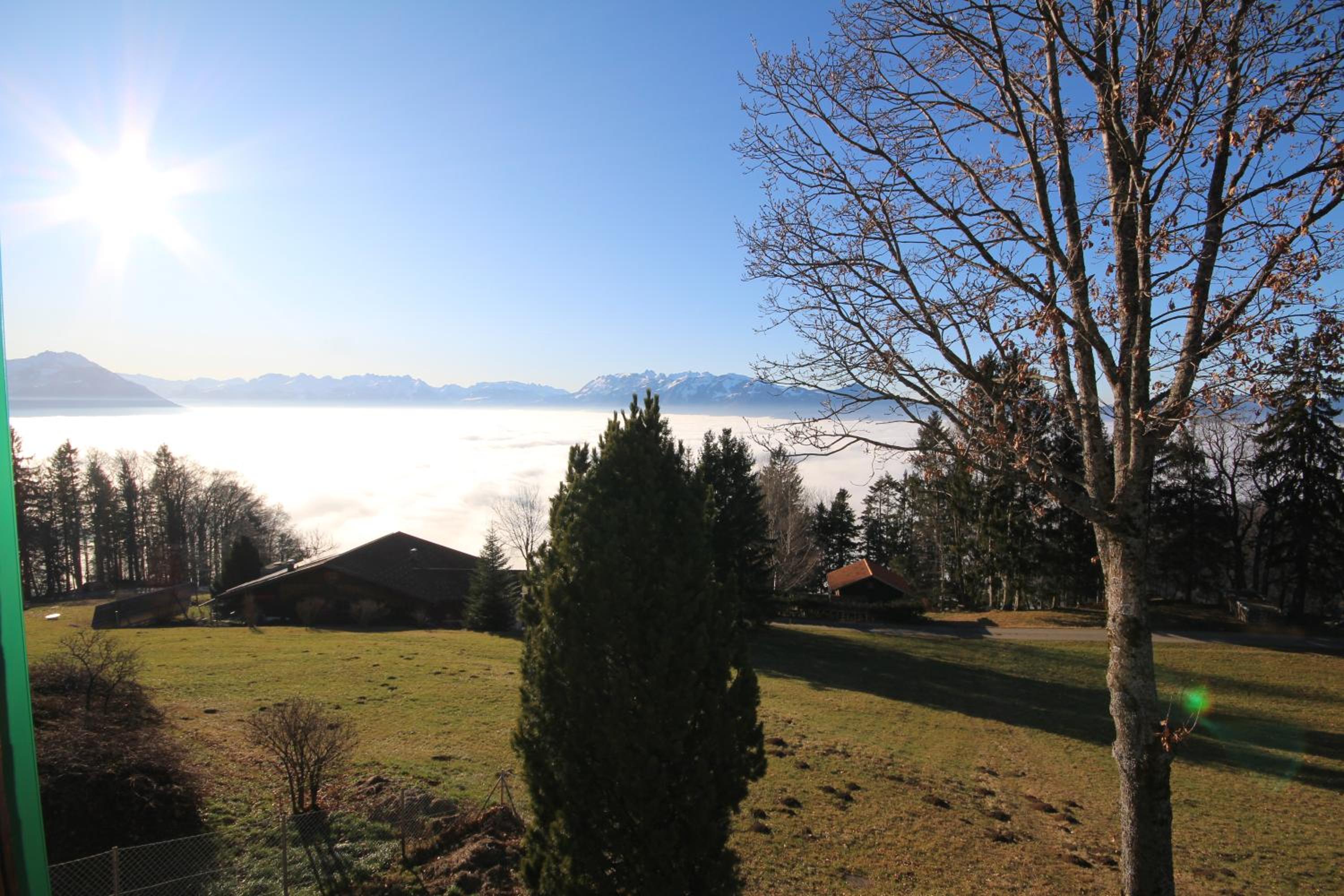 Ferienhaus Fernblick