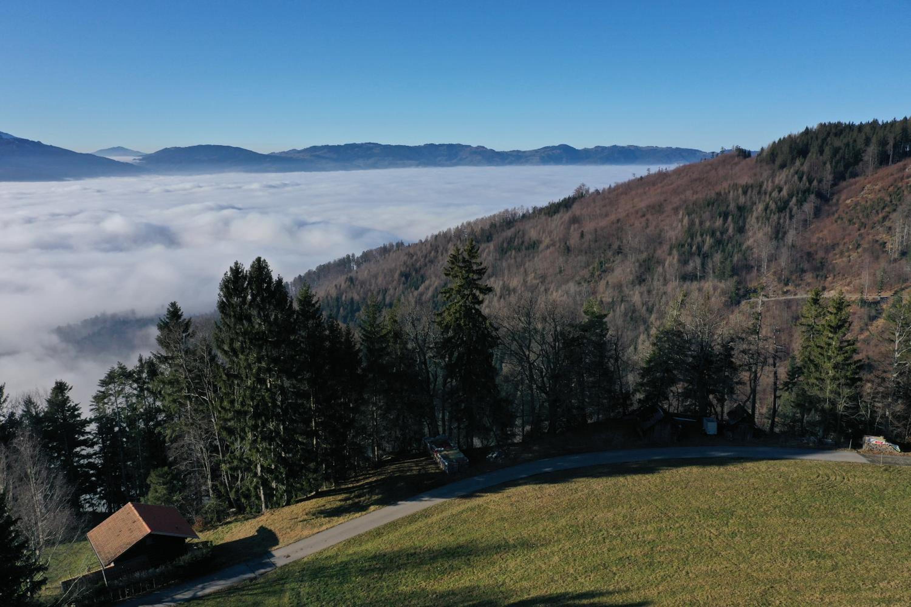 Ferienhaus Fernblick