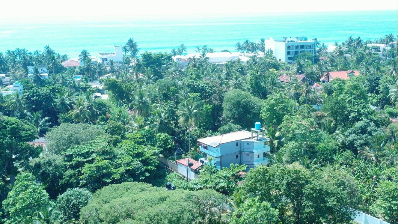 Photo 24