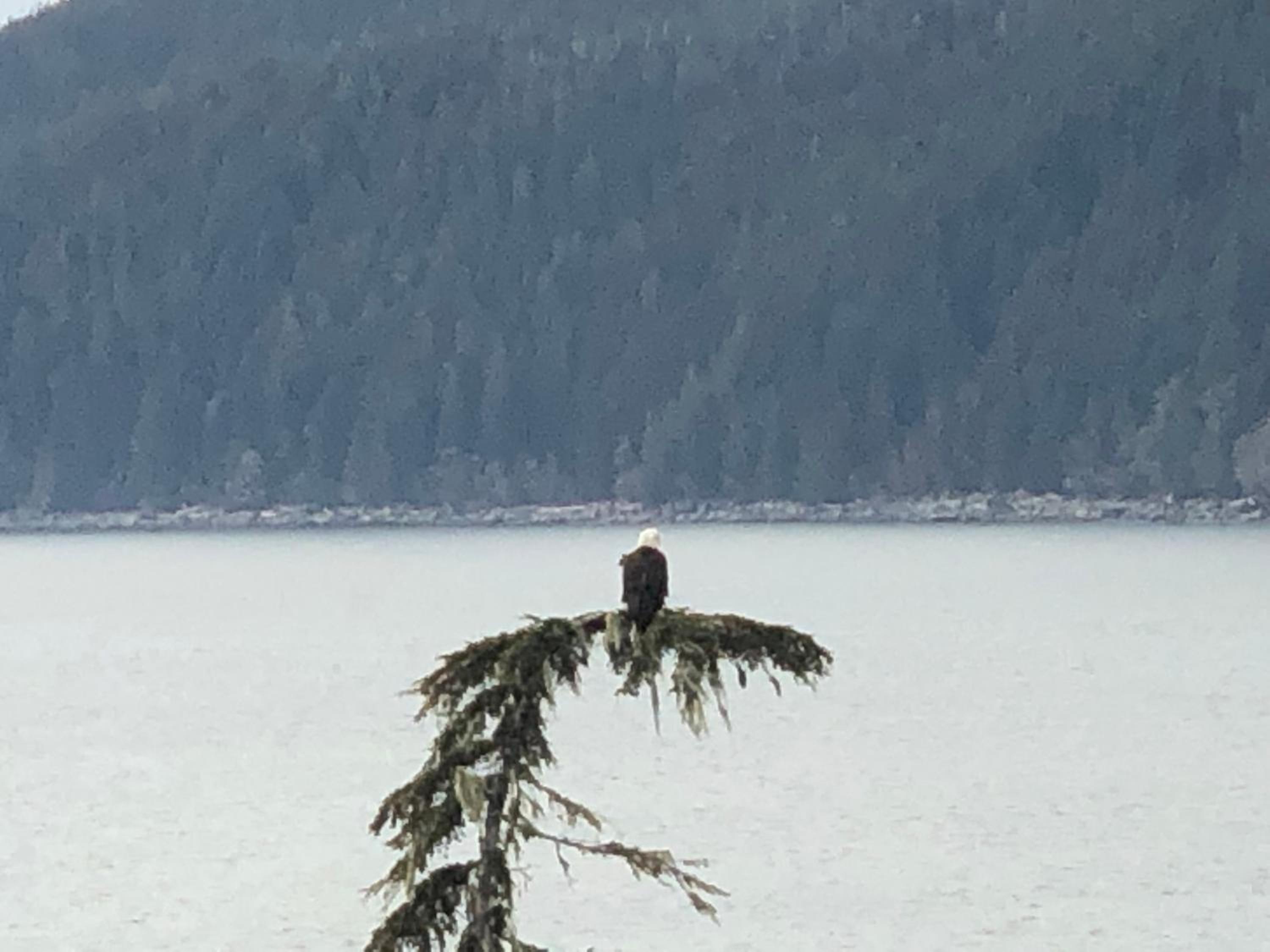 Port Renfrew Vacation Rentals
