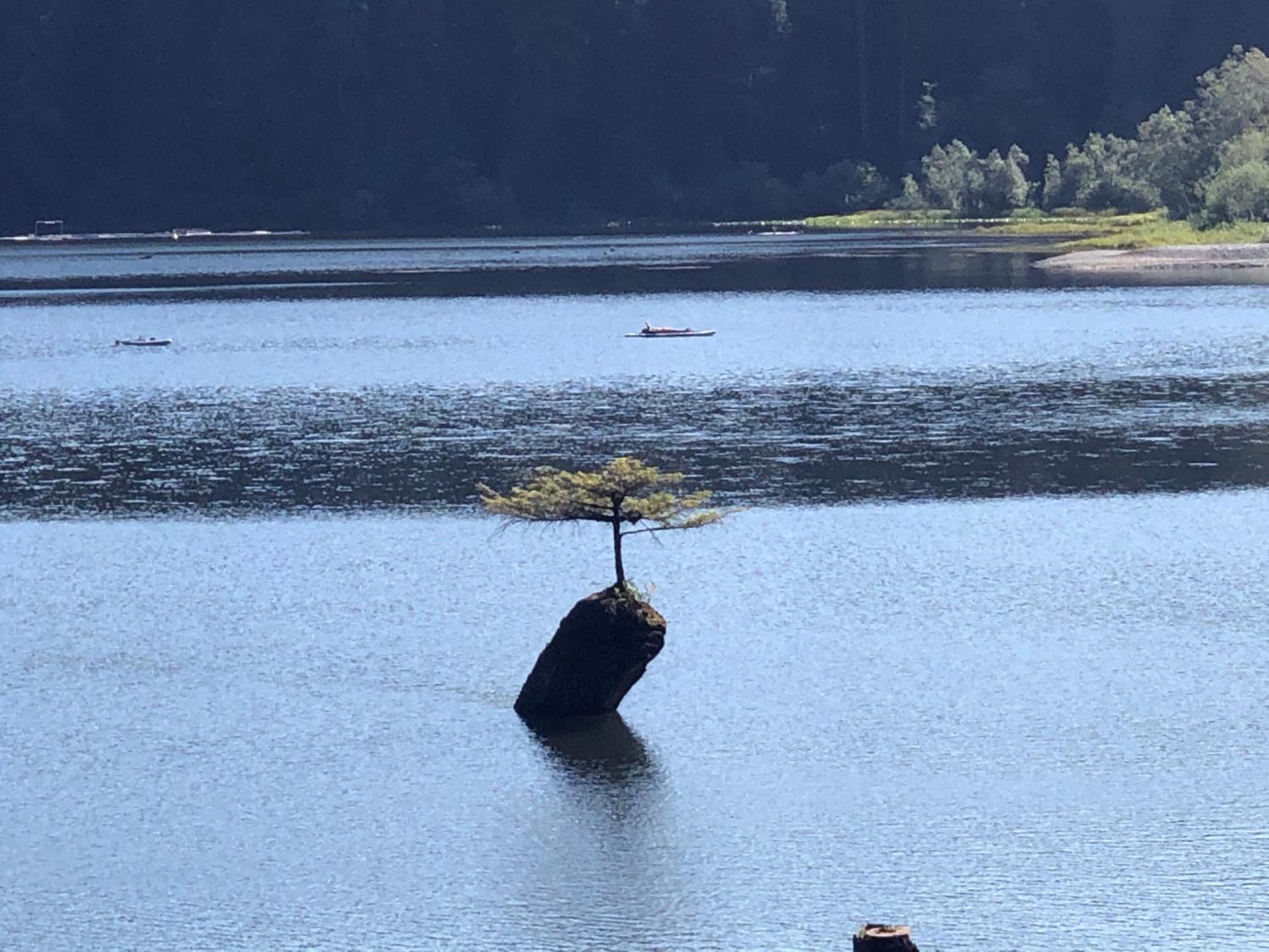 Port Renfrew Vacation Rentals