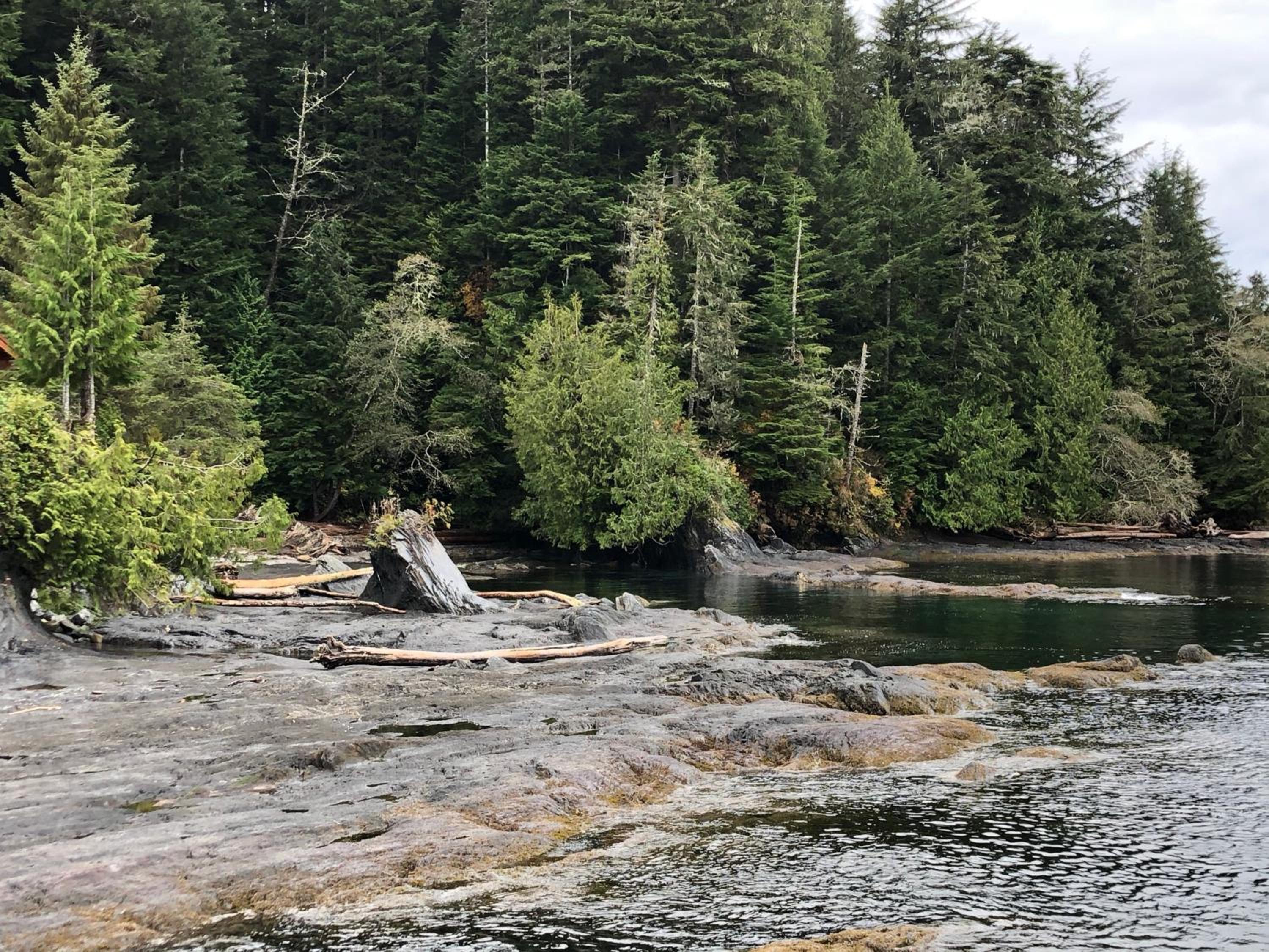 Port Renfrew Vacation Rentals