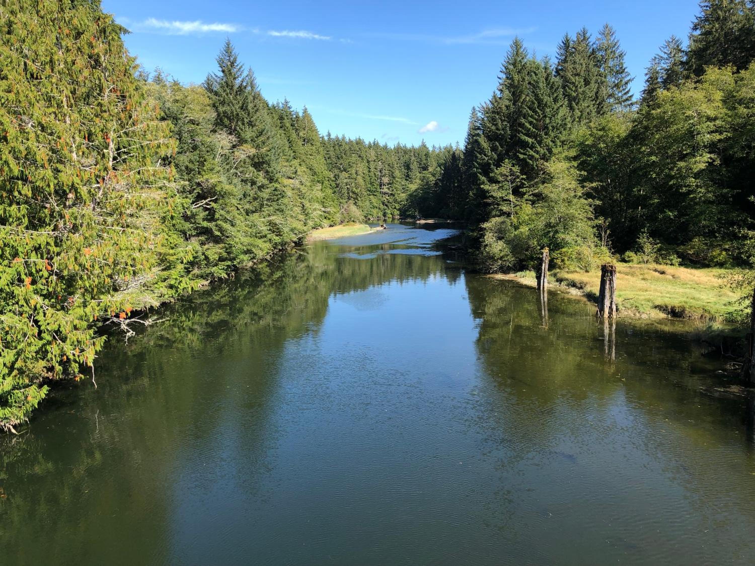 Port Renfrew Vacation Rentals