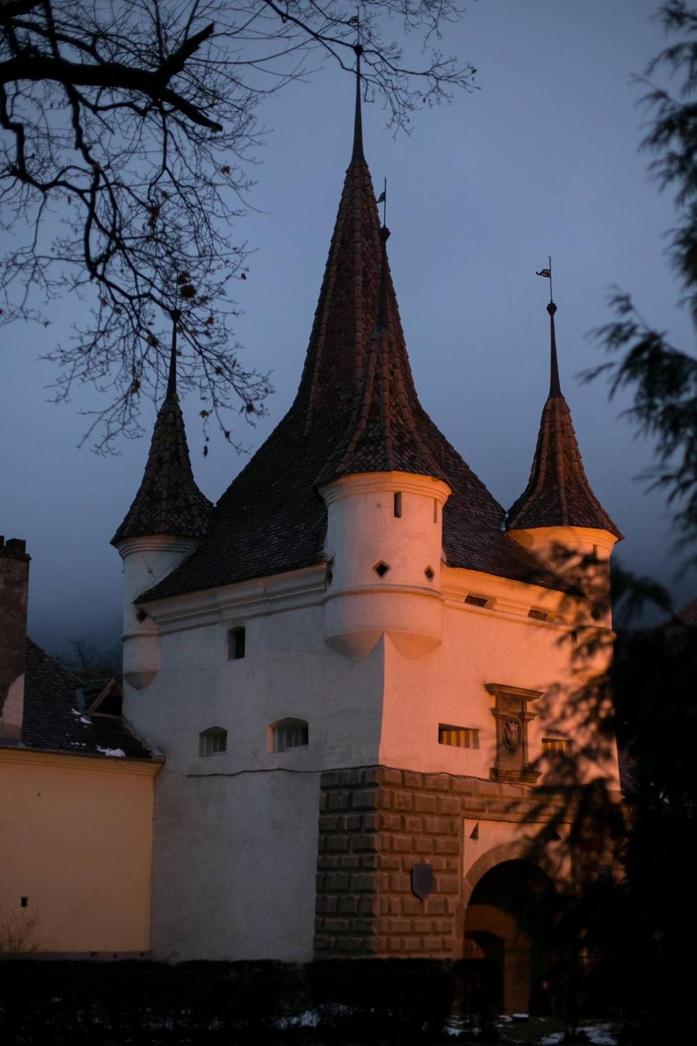 Photo 45