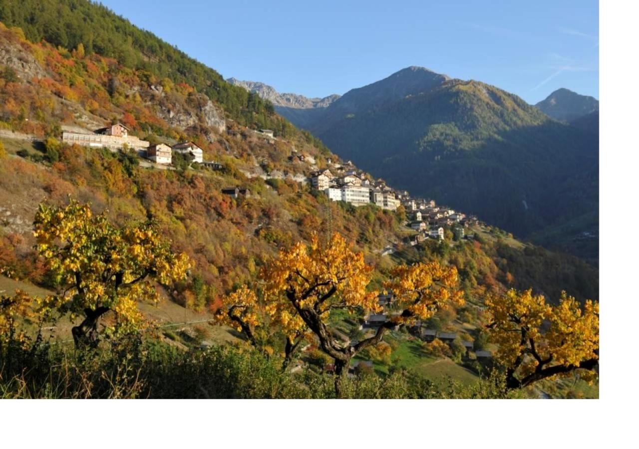 Le cocon du Catogne proche Martigny Verbier - Netflix -