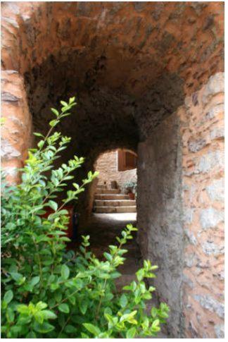 Photo 43