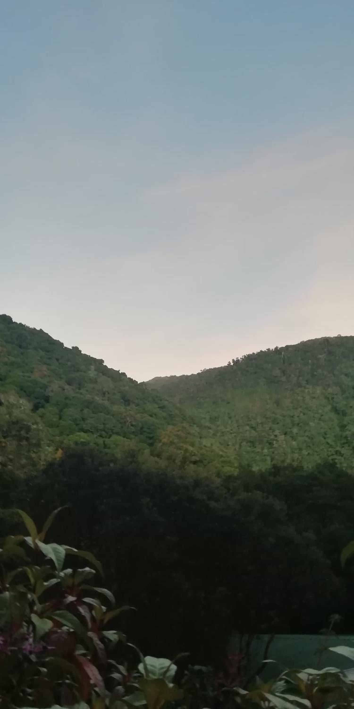 Miriam'S Quetzals lodge