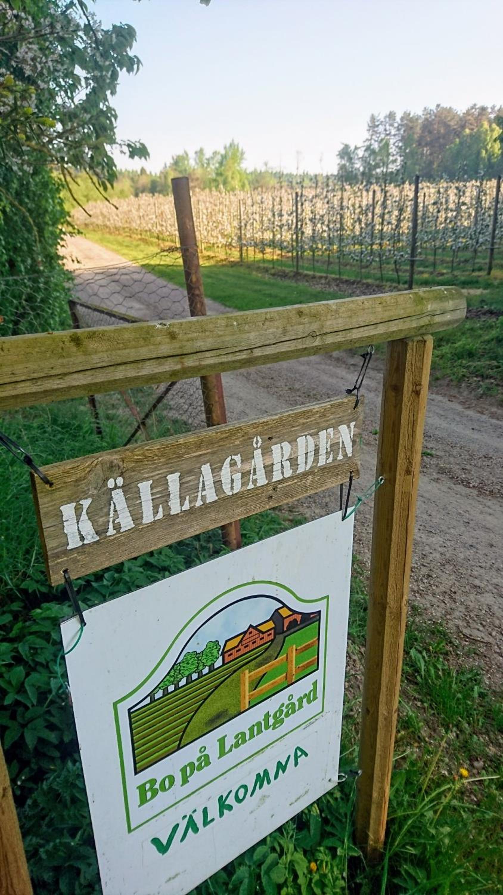 Brösarp Källagården Lilla Gårdslägenheten view 5