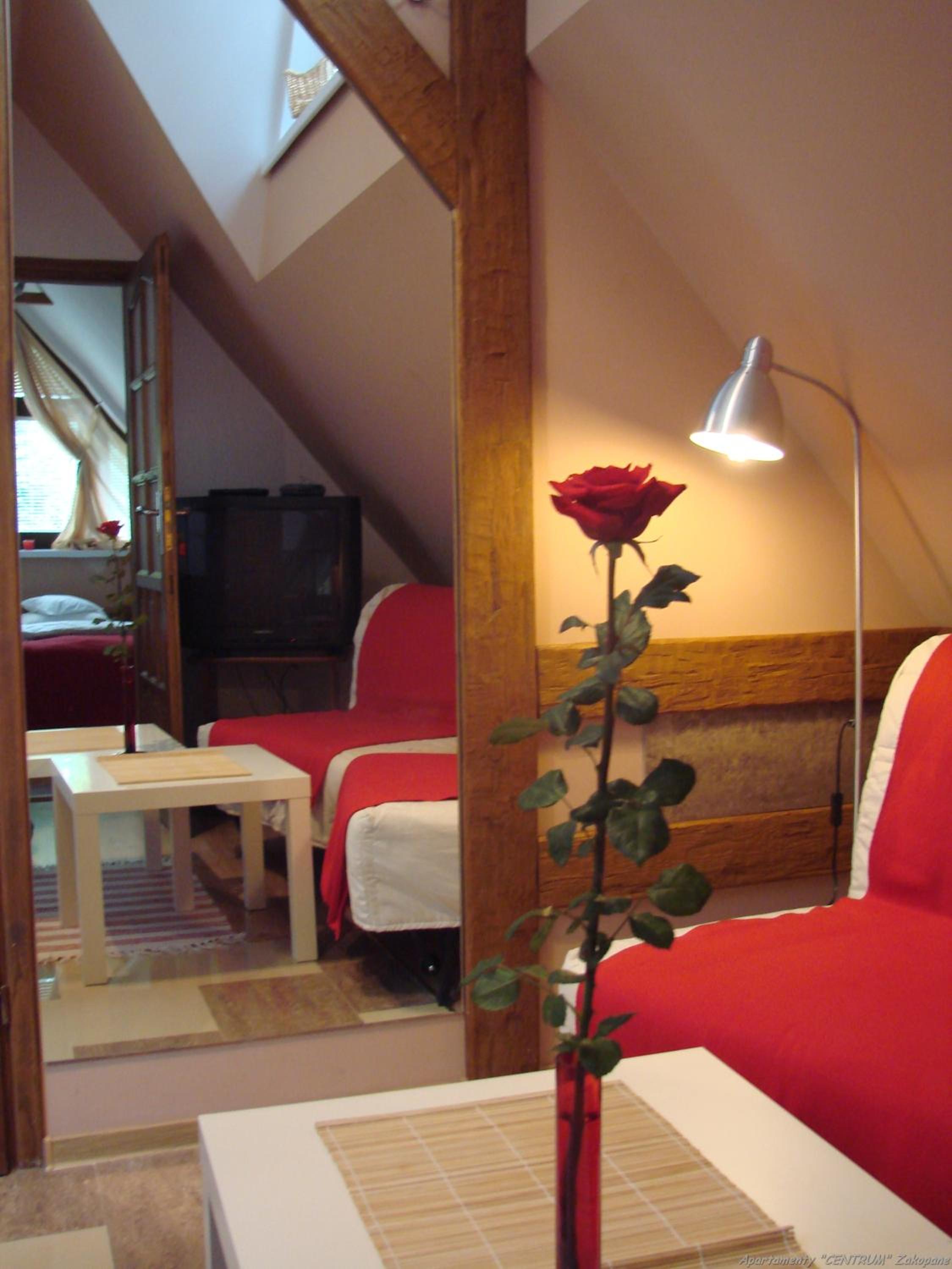 Apartamenty Centrum Zakopane view 2