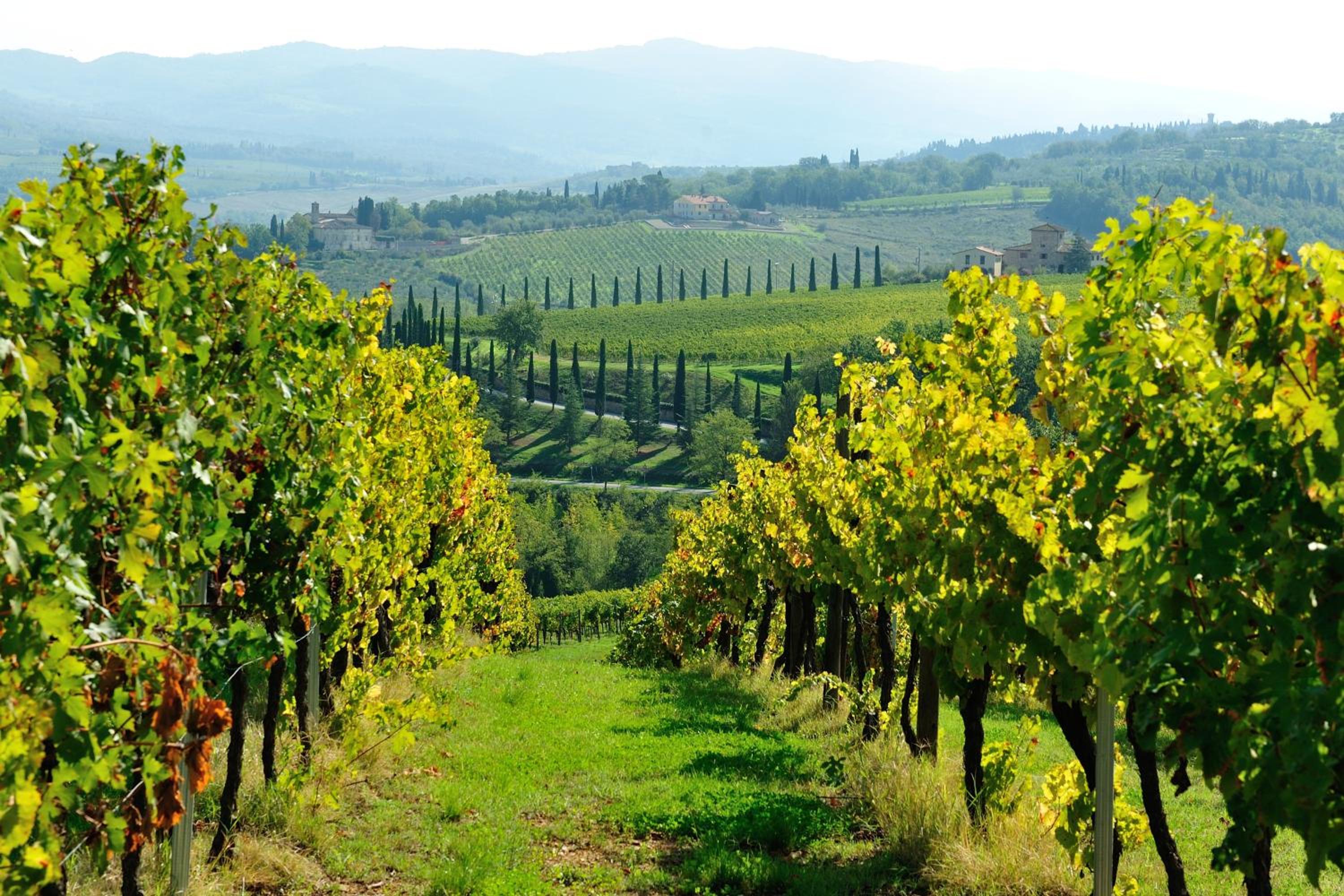 Castello Di Gabbiano