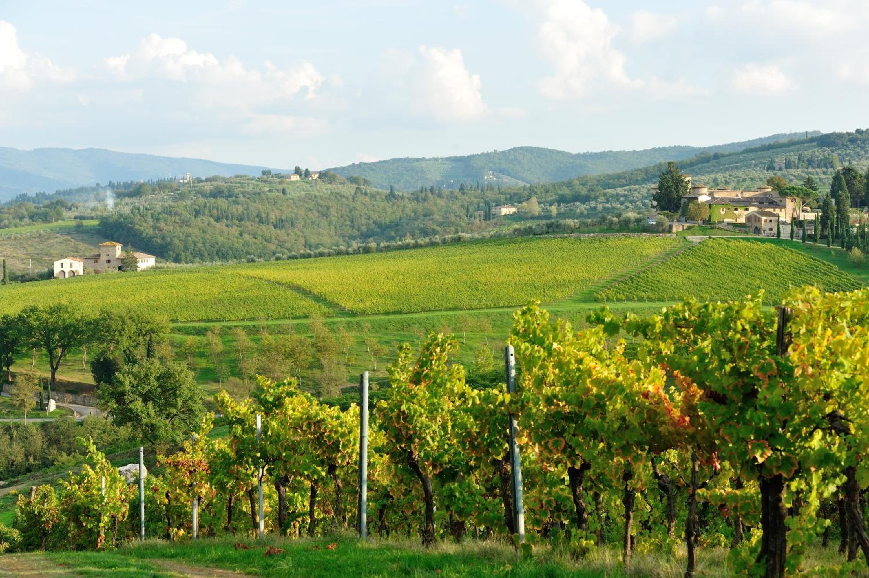 Castello Di Gabbiano