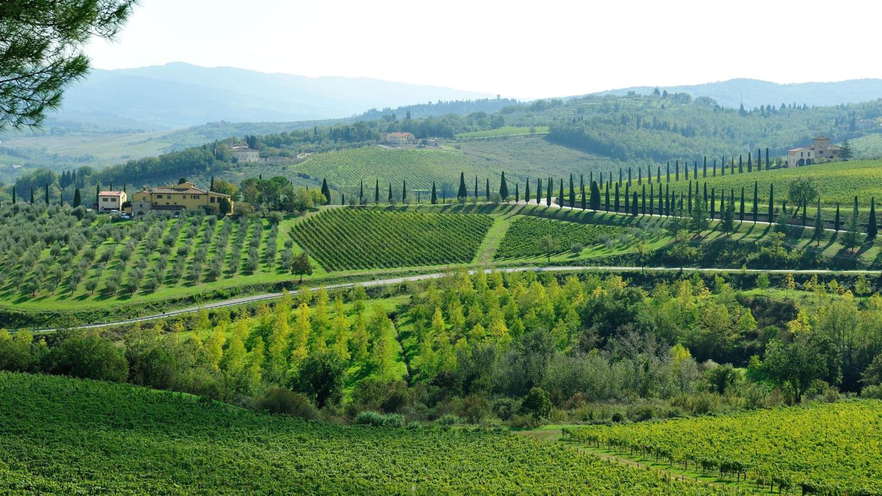 Castello Di Gabbiano