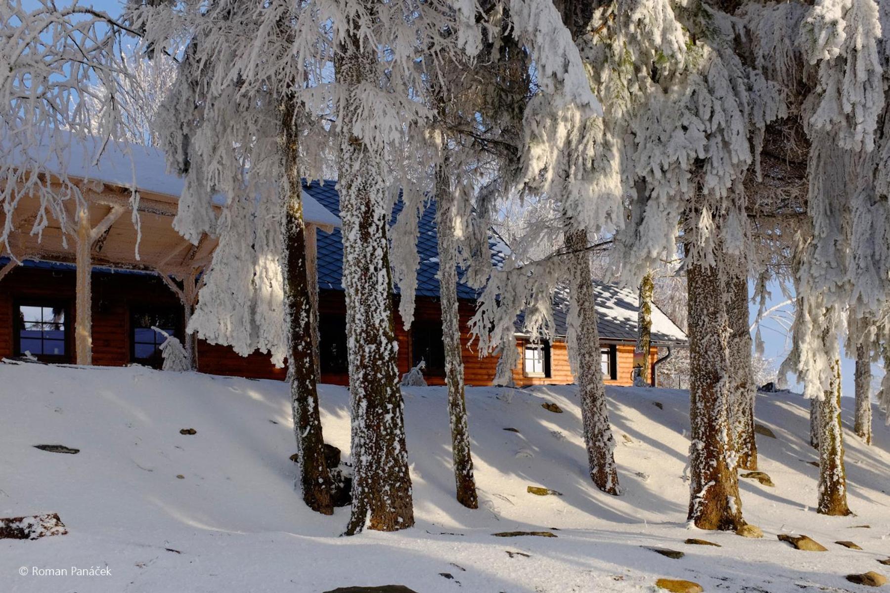Photo 62