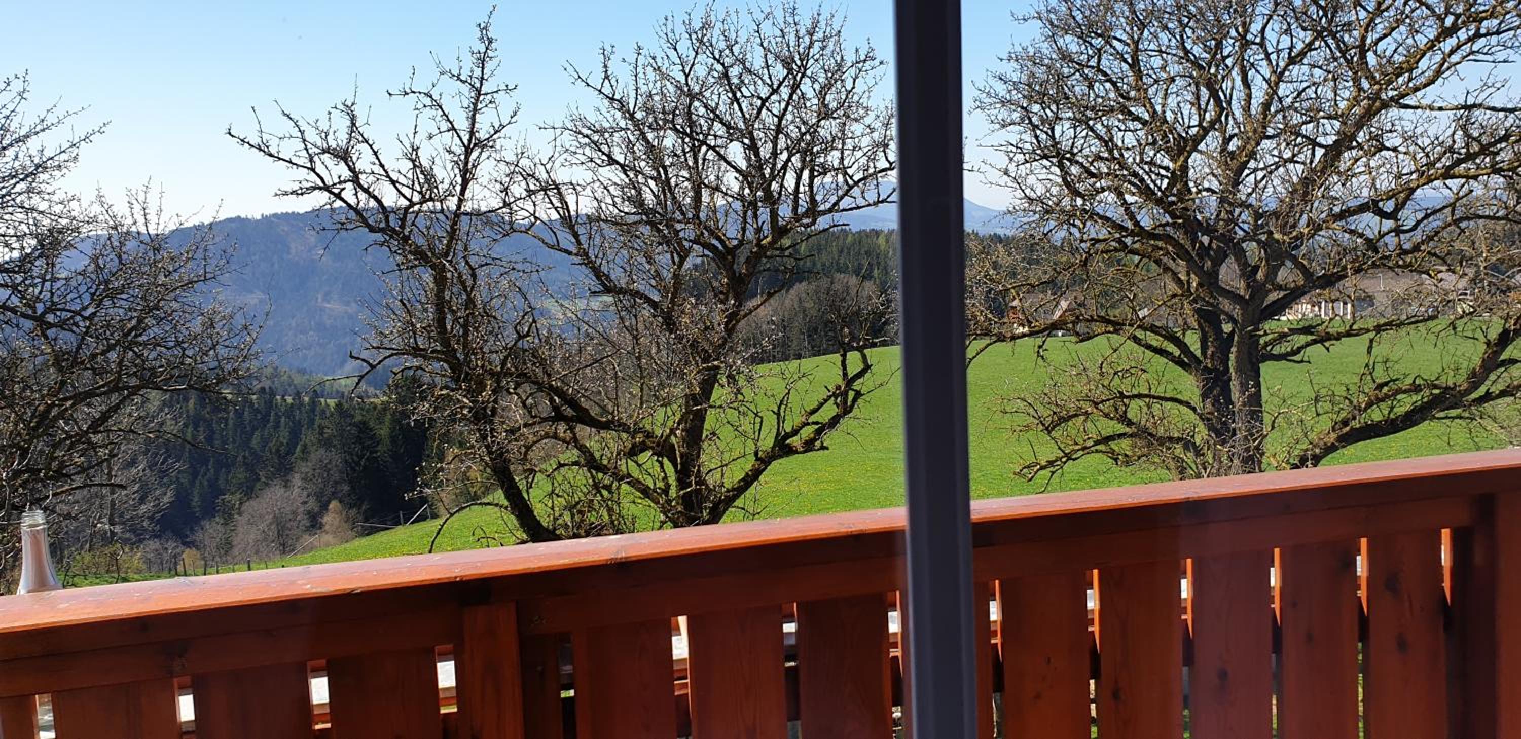 Huberhof im Almenland view 4
