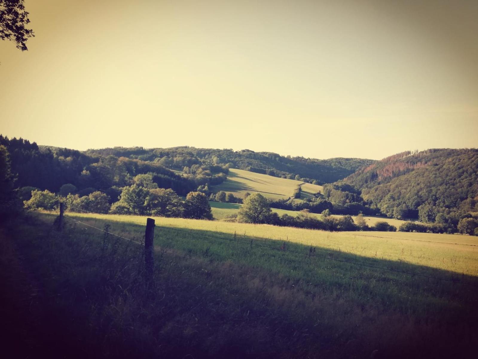 Ferienwohnung auf der Hilkenhöhe view 5