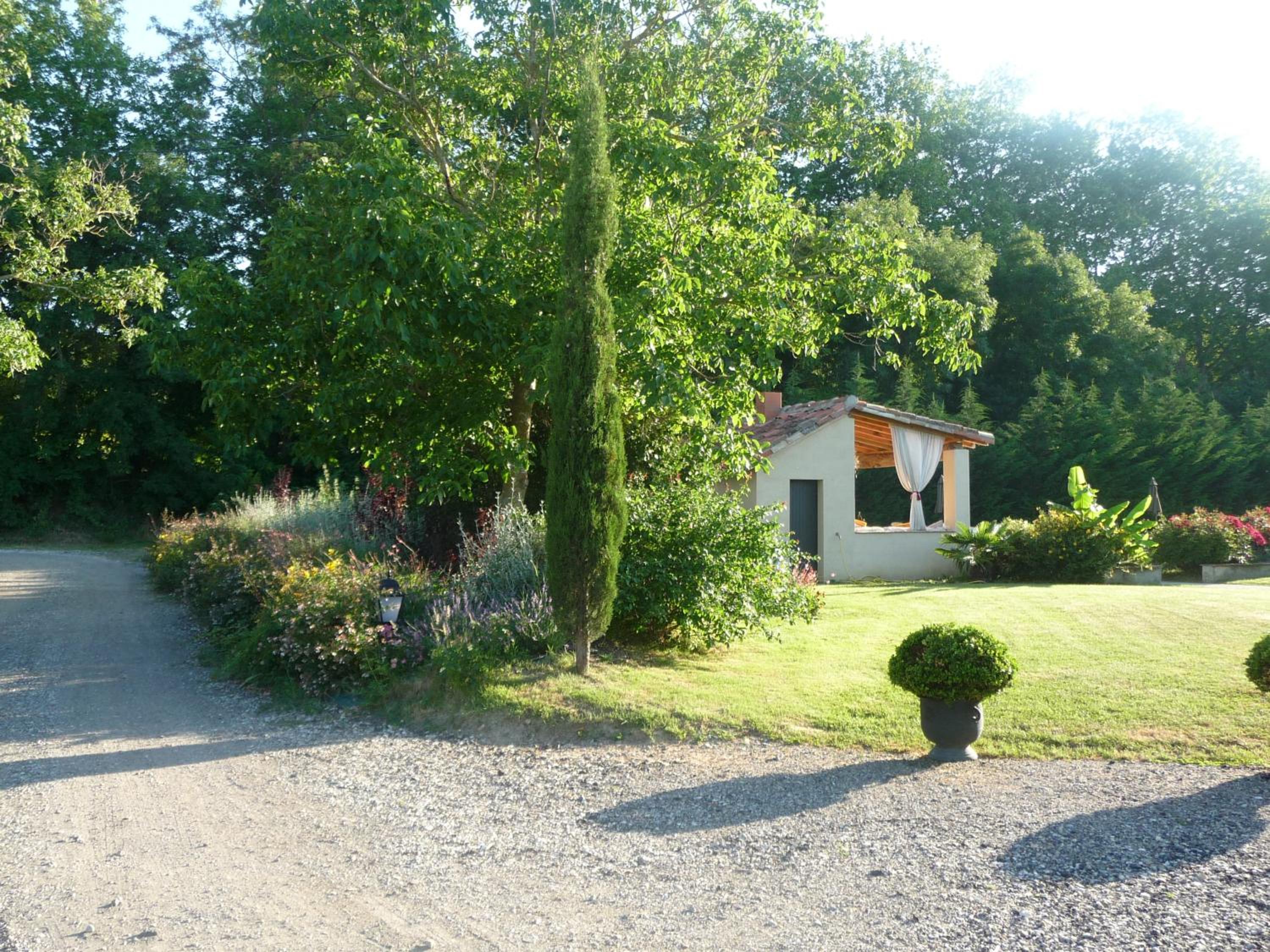 Photo 11