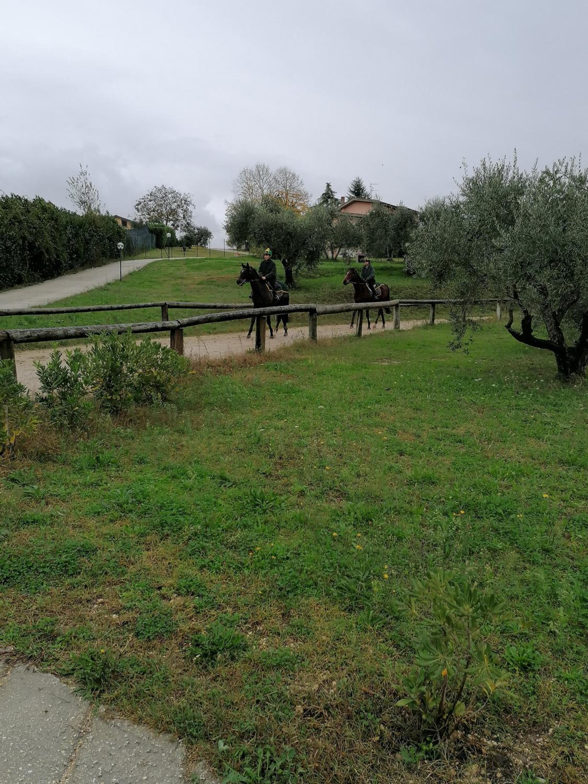Photo 28