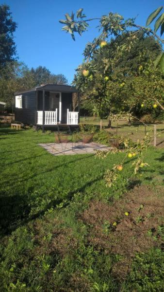 Photo 20