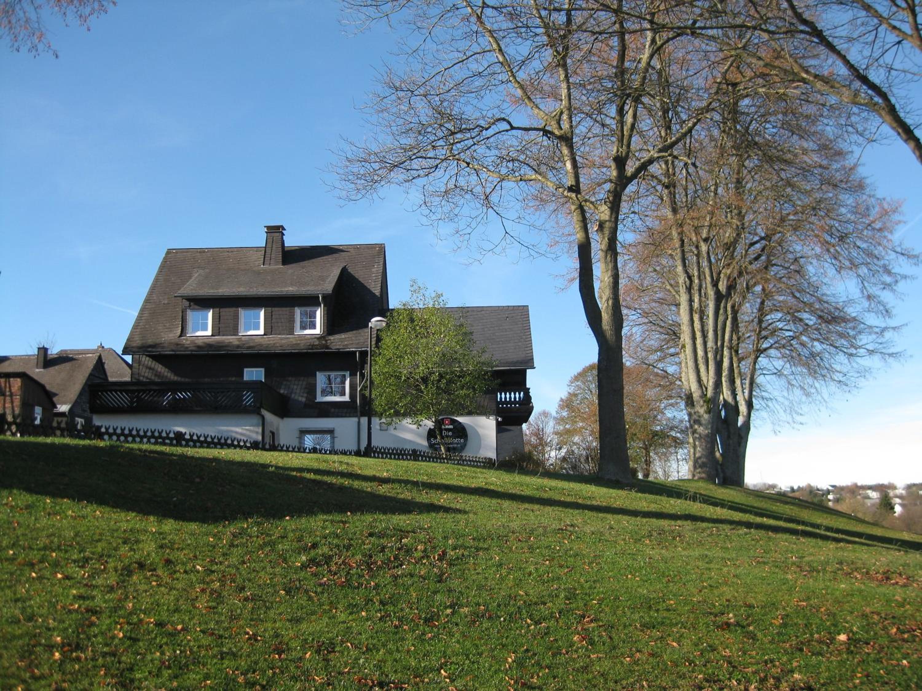 Photo 7