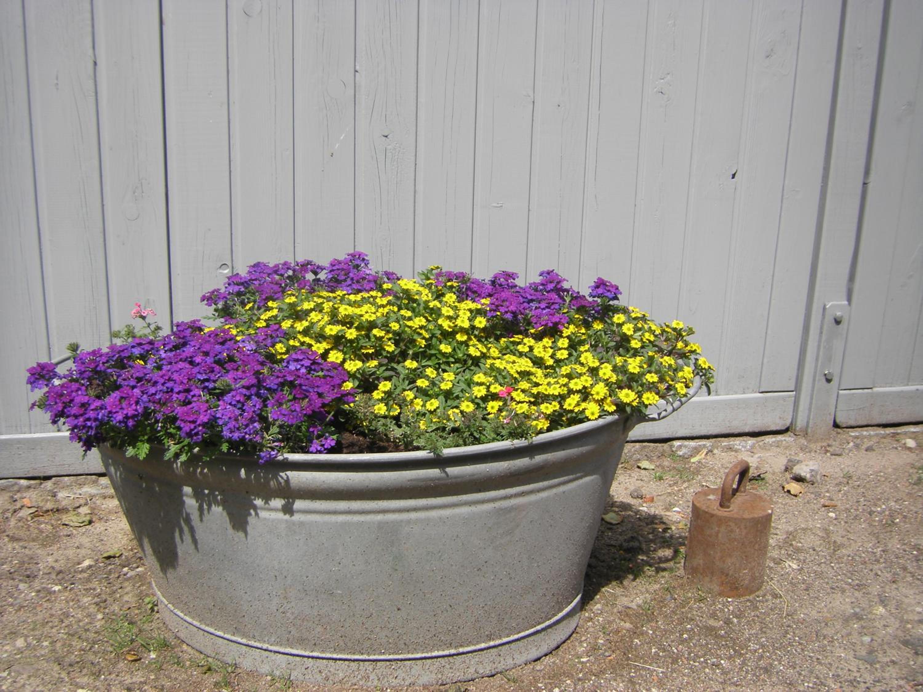 Photo 40