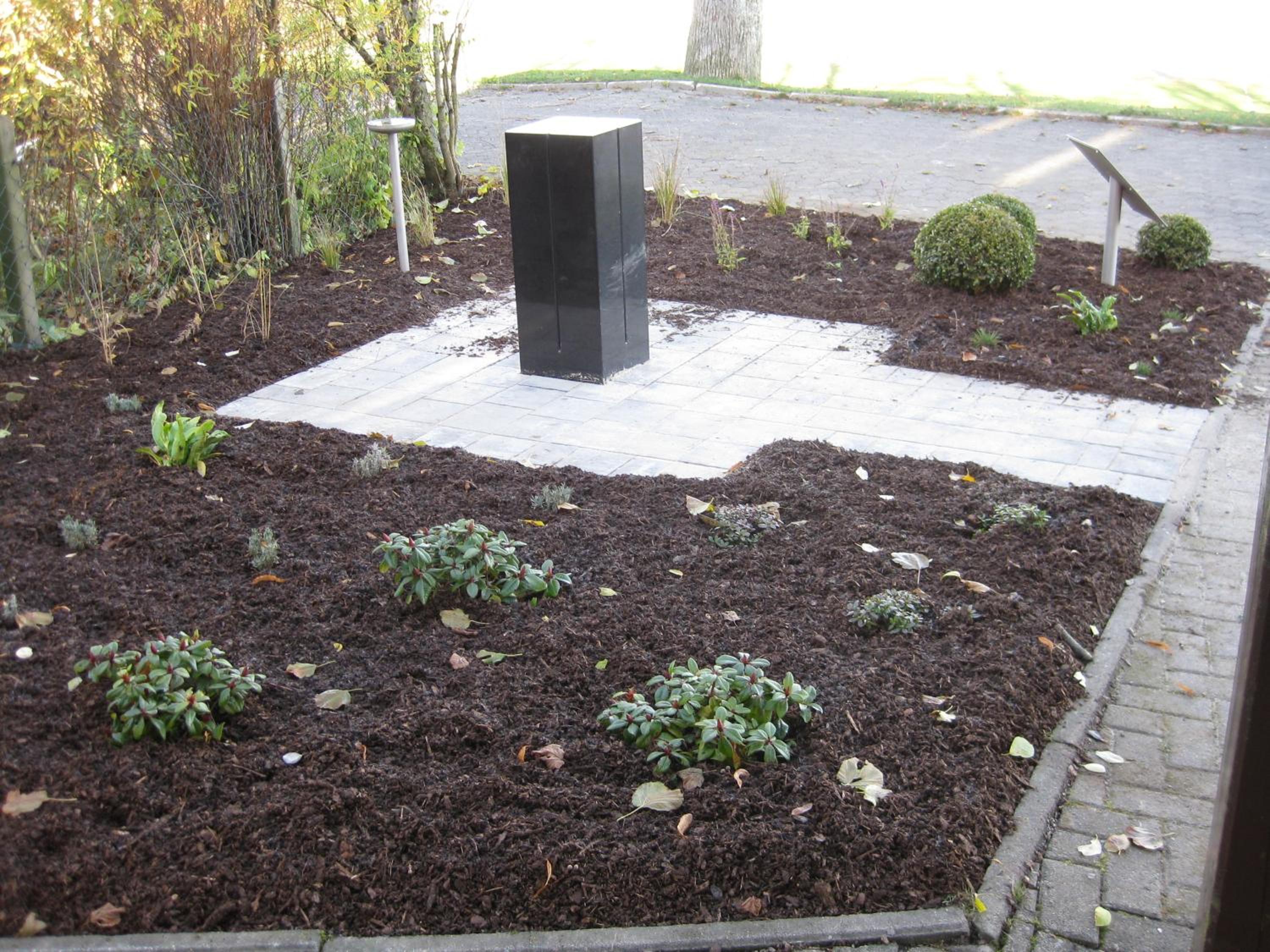 Photo 6