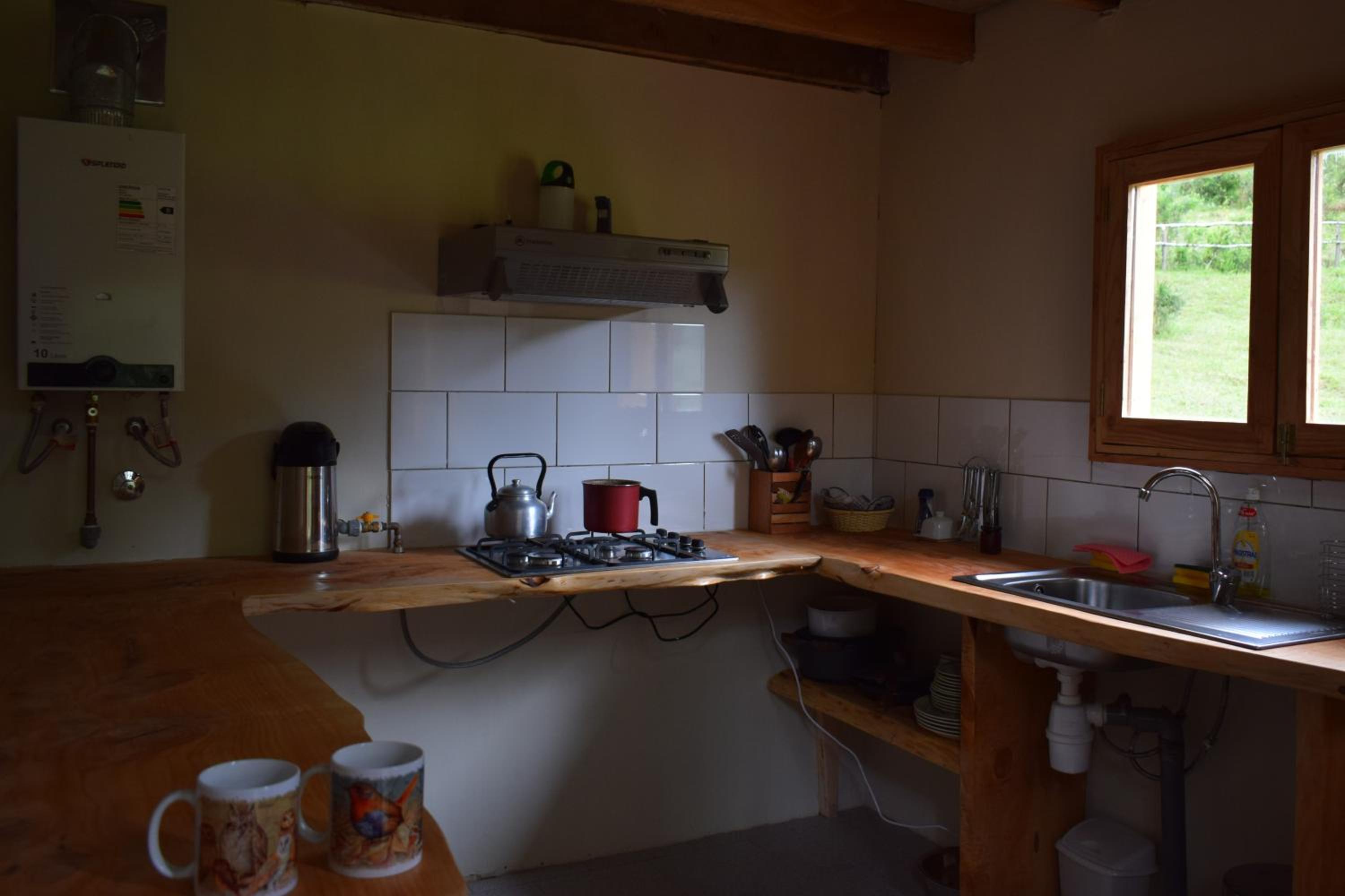 Proyecto COYAM, cabañas lofts, tinas privadas, sendero por el bosque