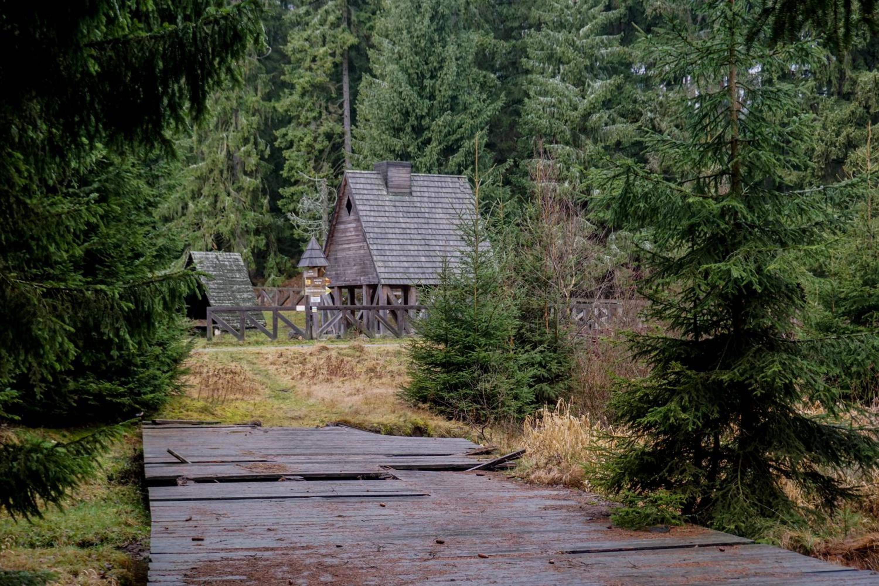 Photo 45
