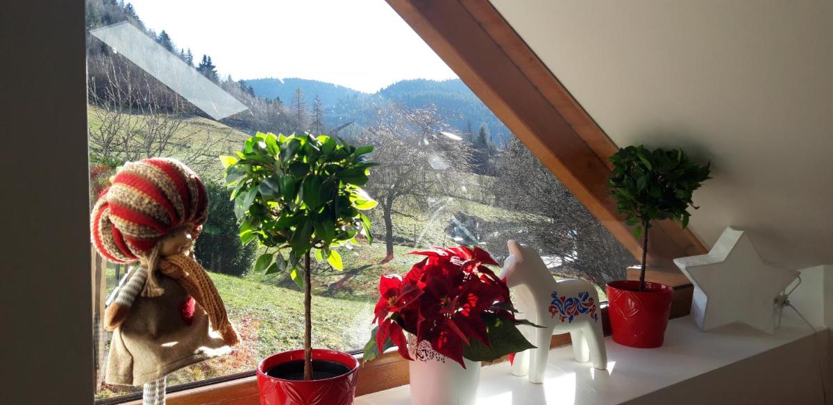 Chalet des Chauproyes view 4