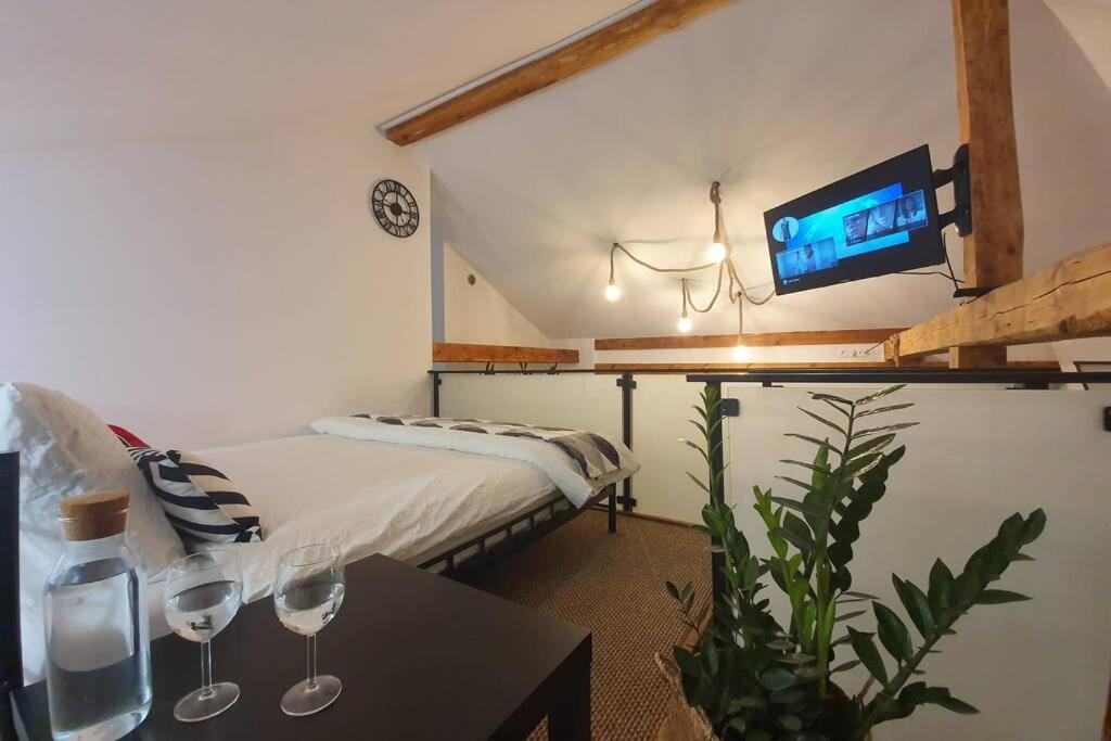 Koci Dom Loft