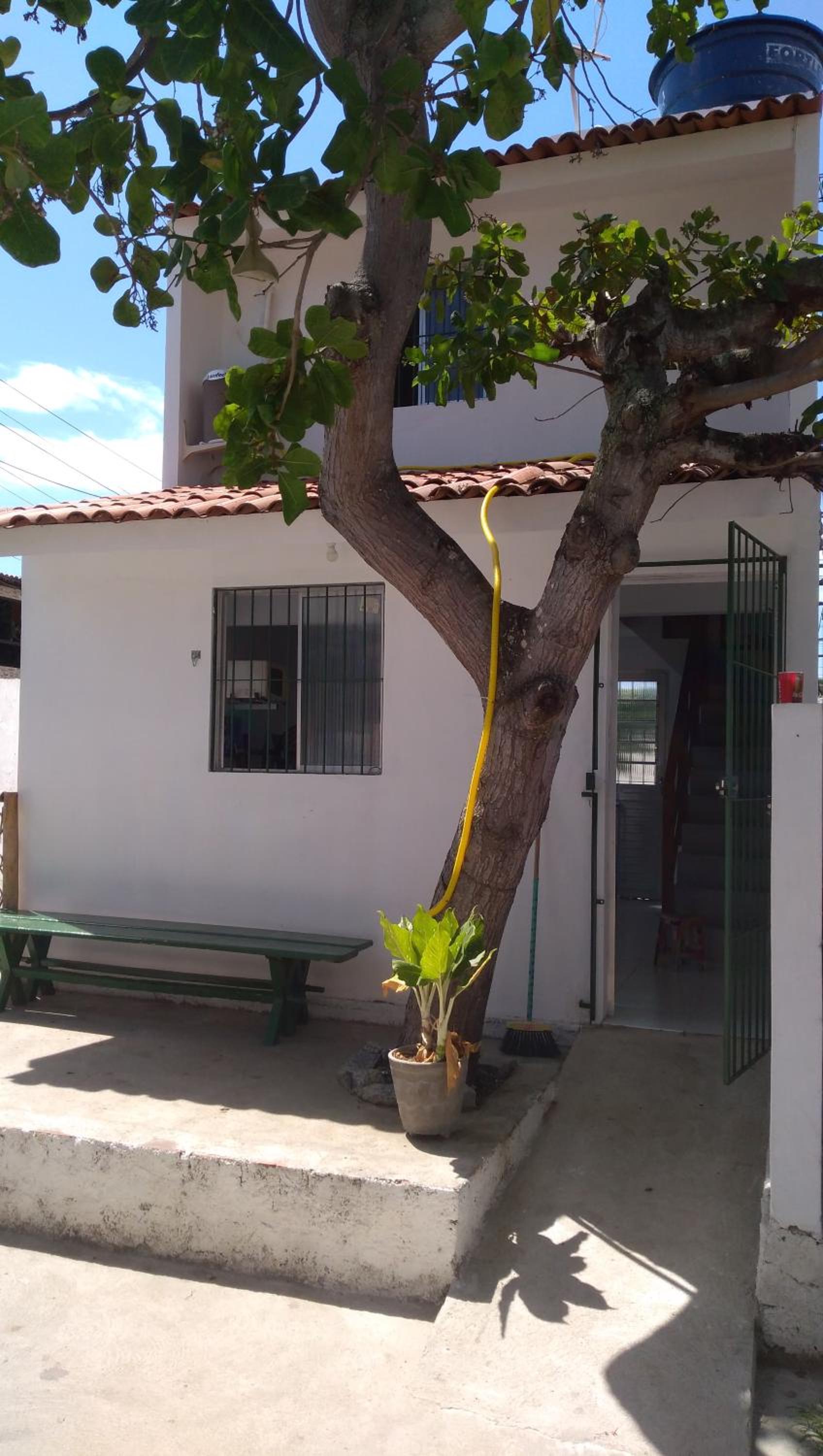 Casa da Árvore