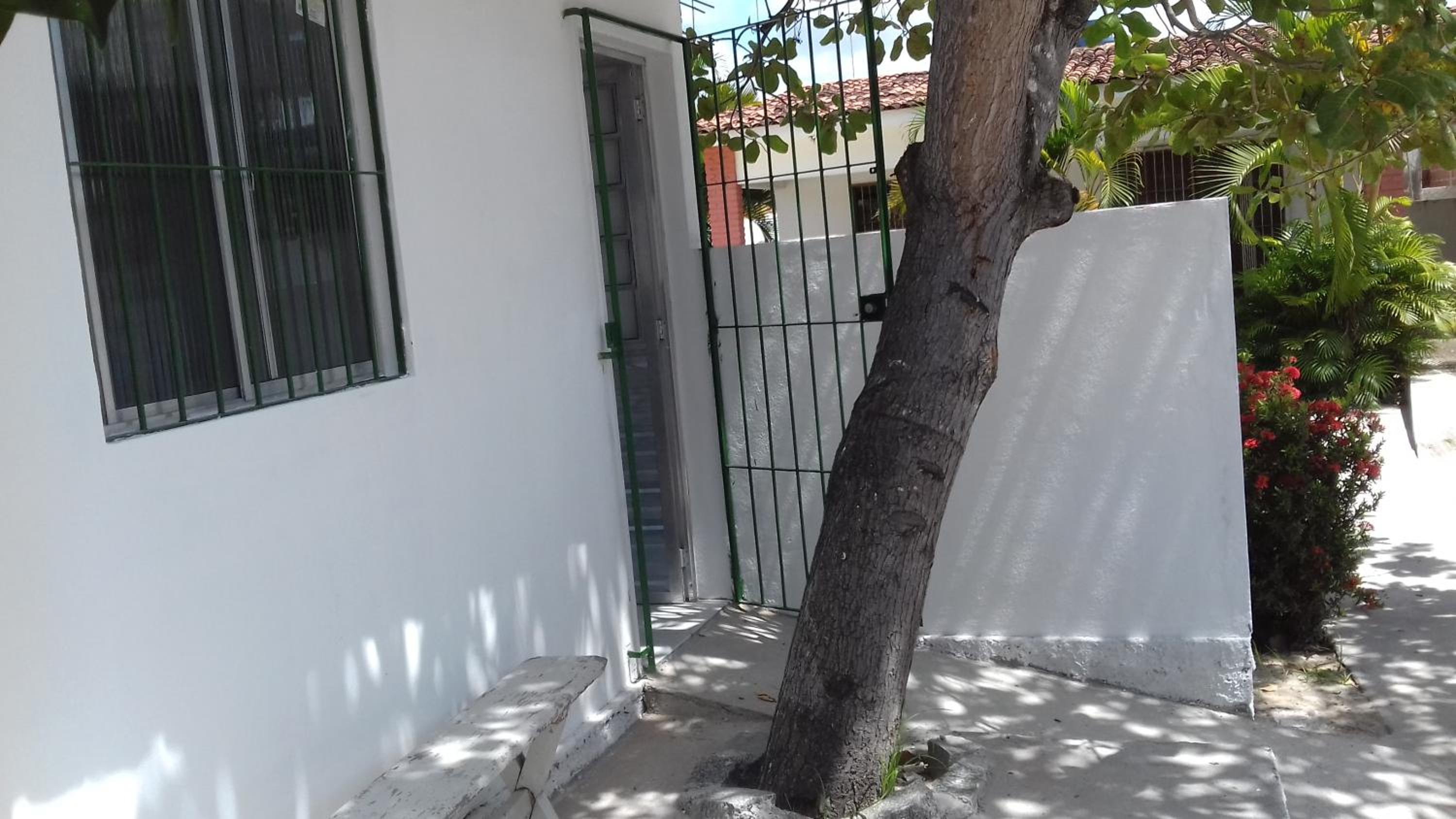 Casa da Árvore