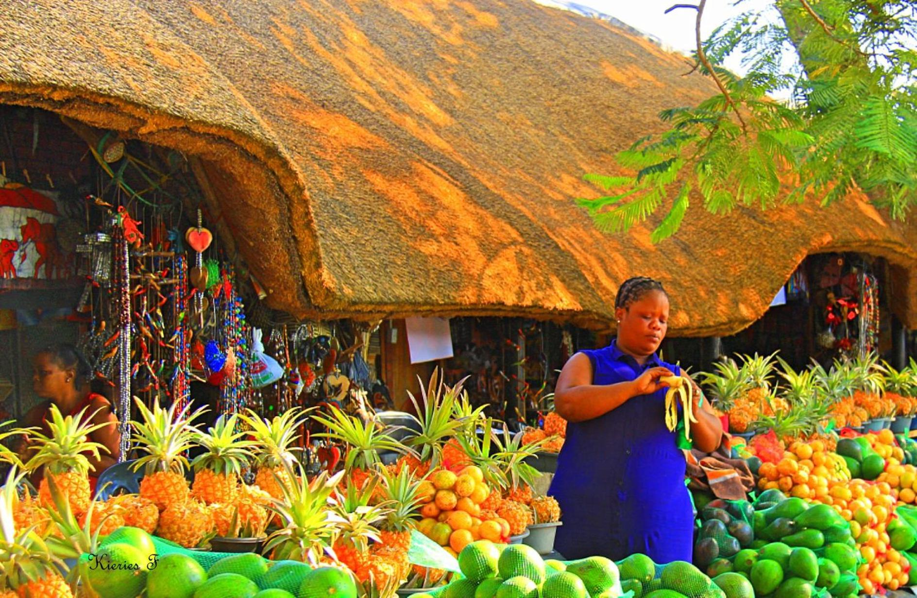Lodge Afrique