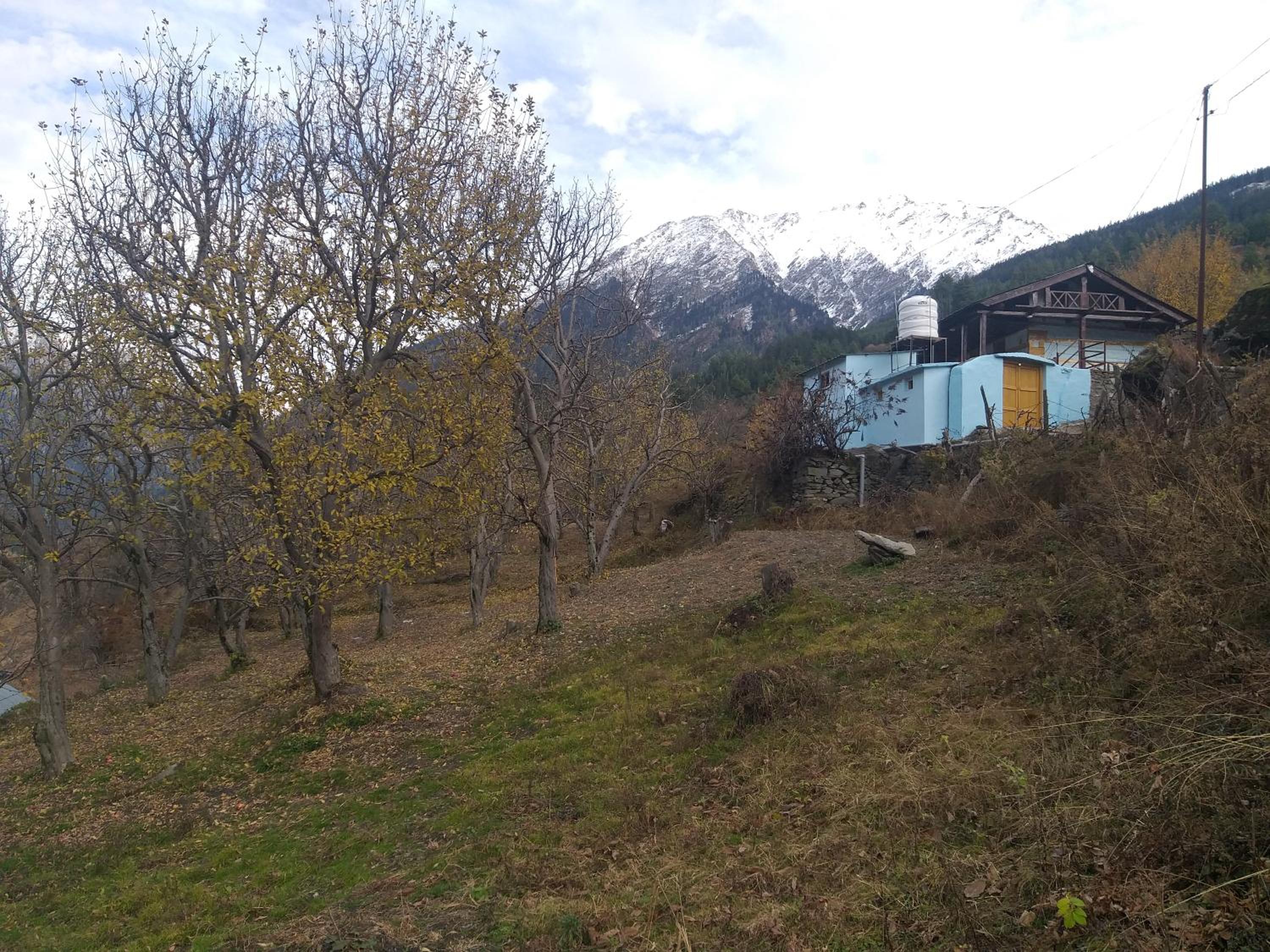 Photo 10
