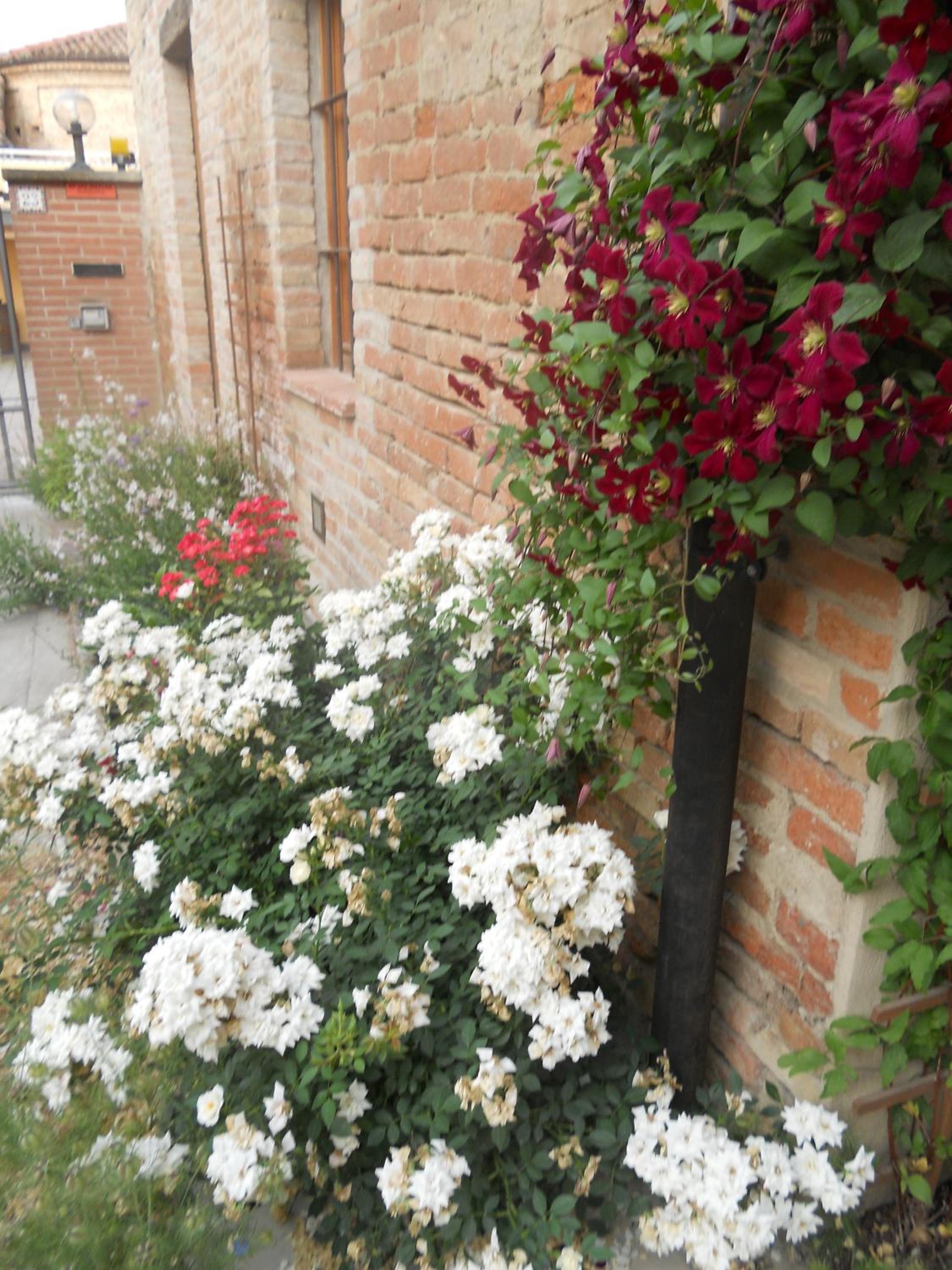 Al Centro del Borgo view 2