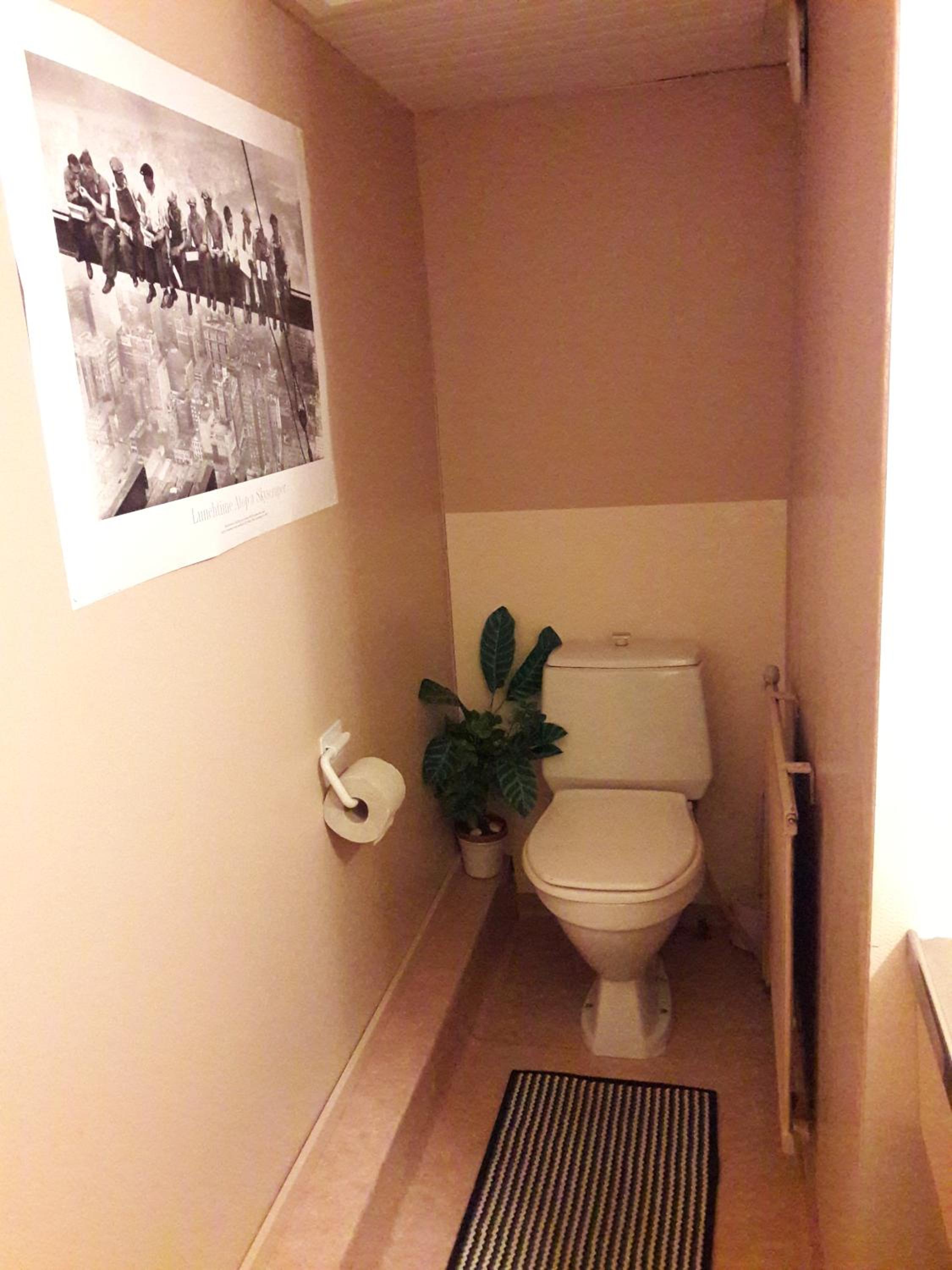 Huoneisto omenapuiden katveessa view 5