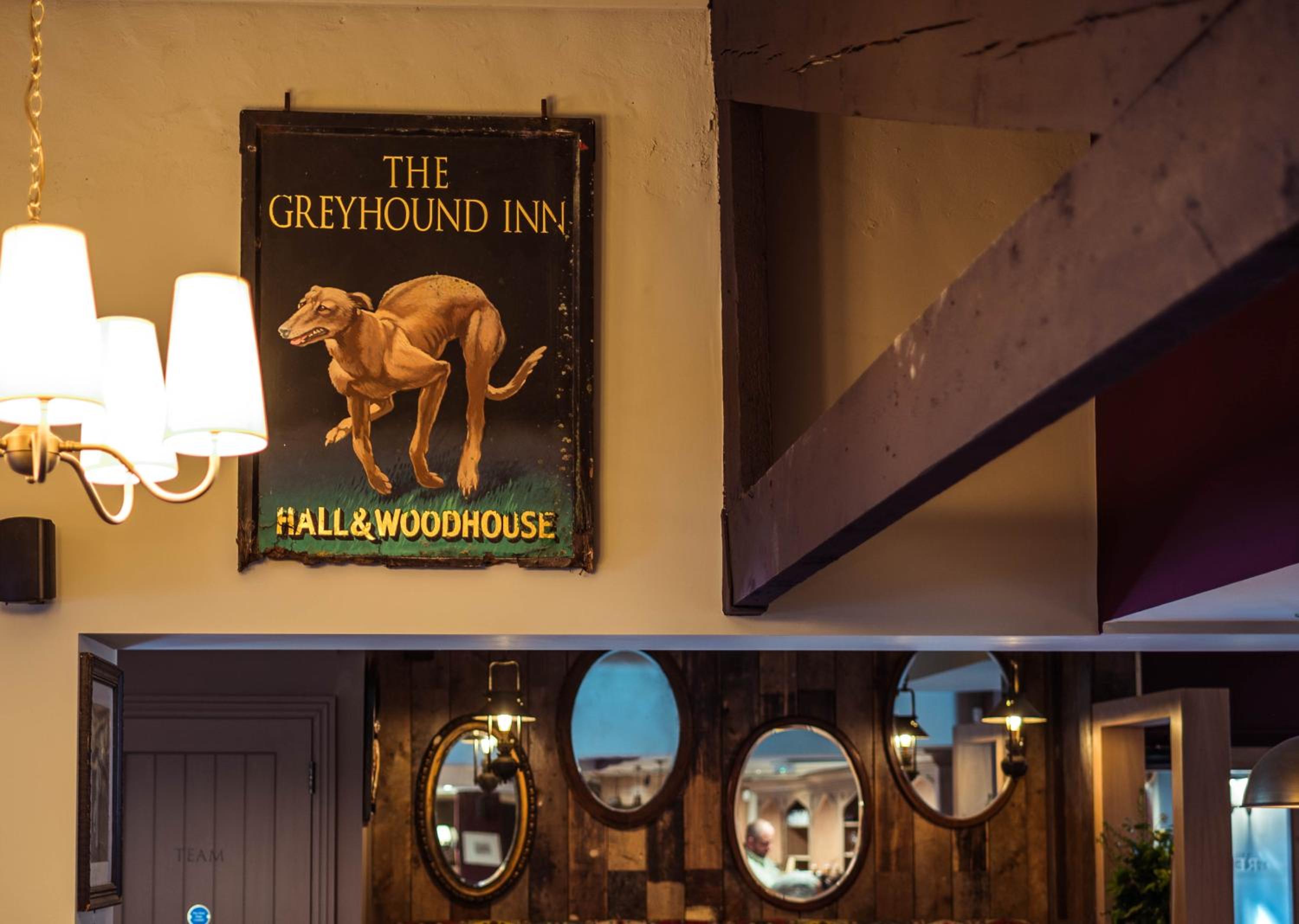 Greyhound