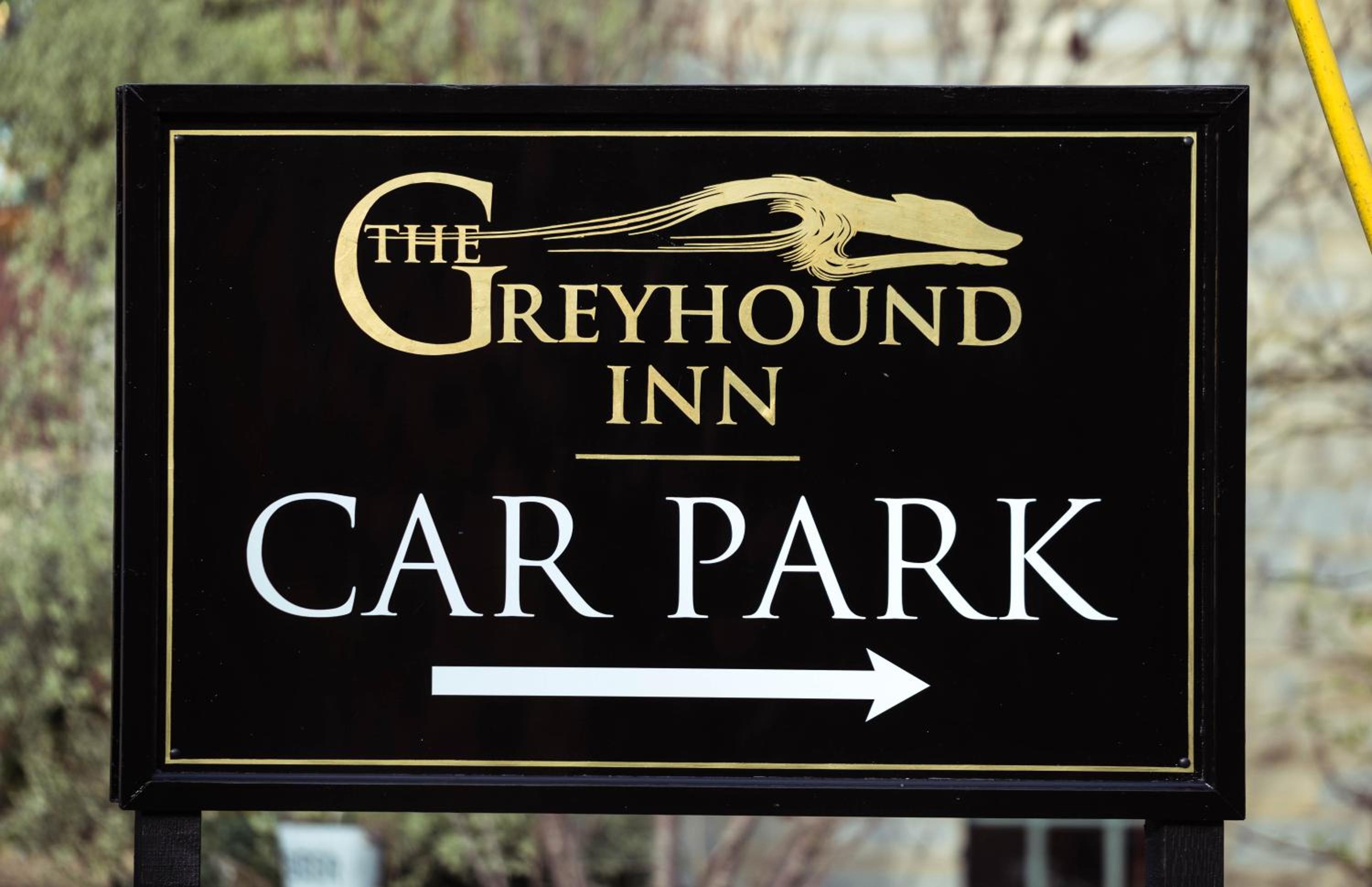 Greyhound