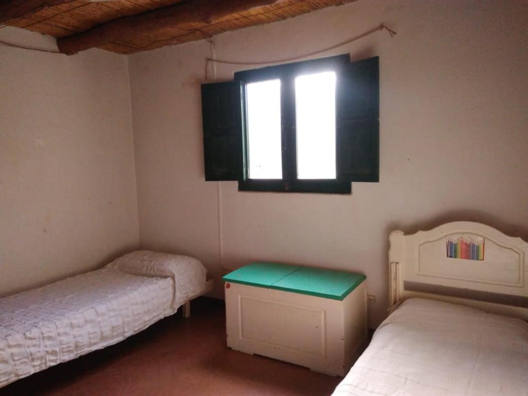 Cabaña en Olivar Centenario Agroecológico Tutuna