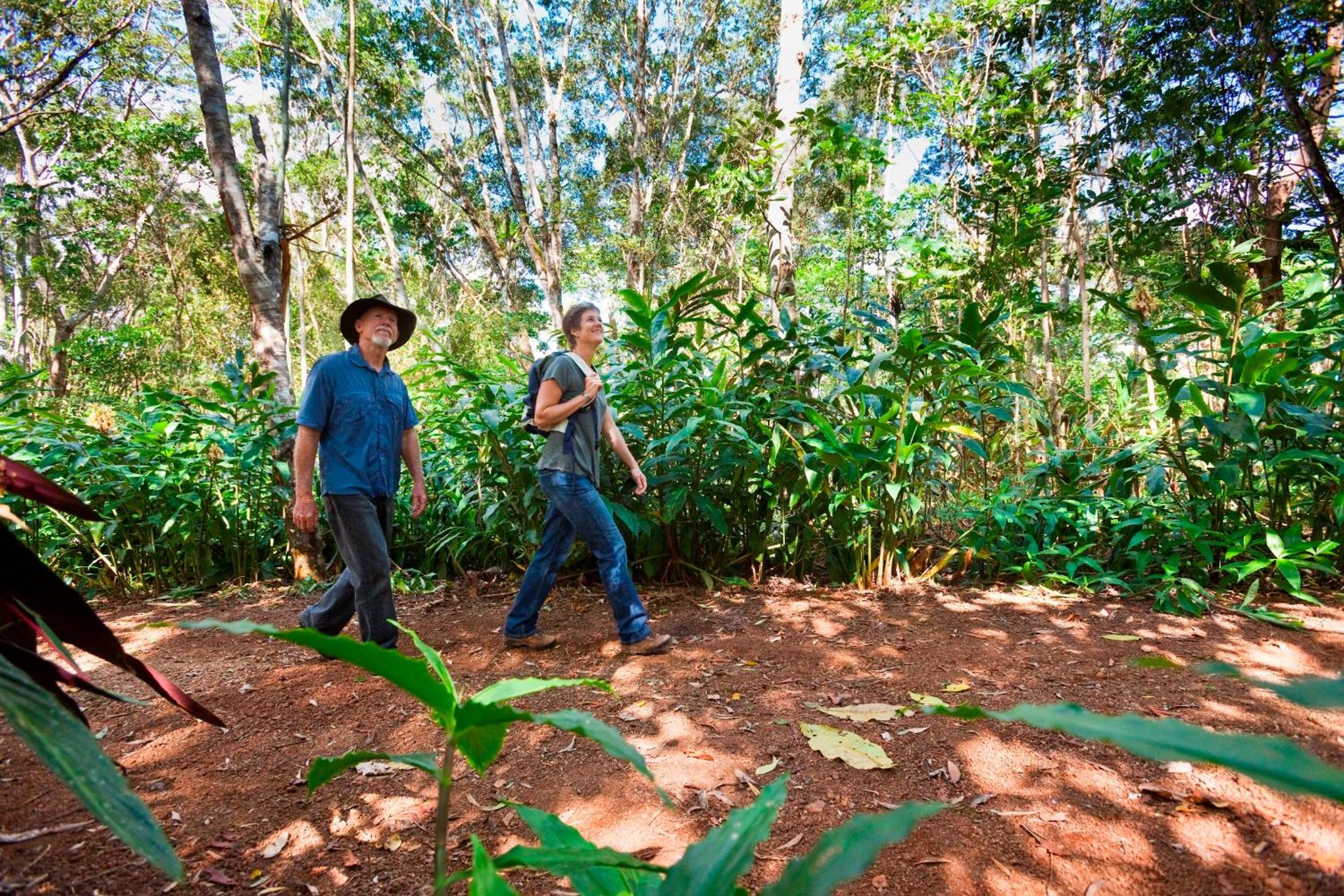 Rose Gums Wilderness Retreat