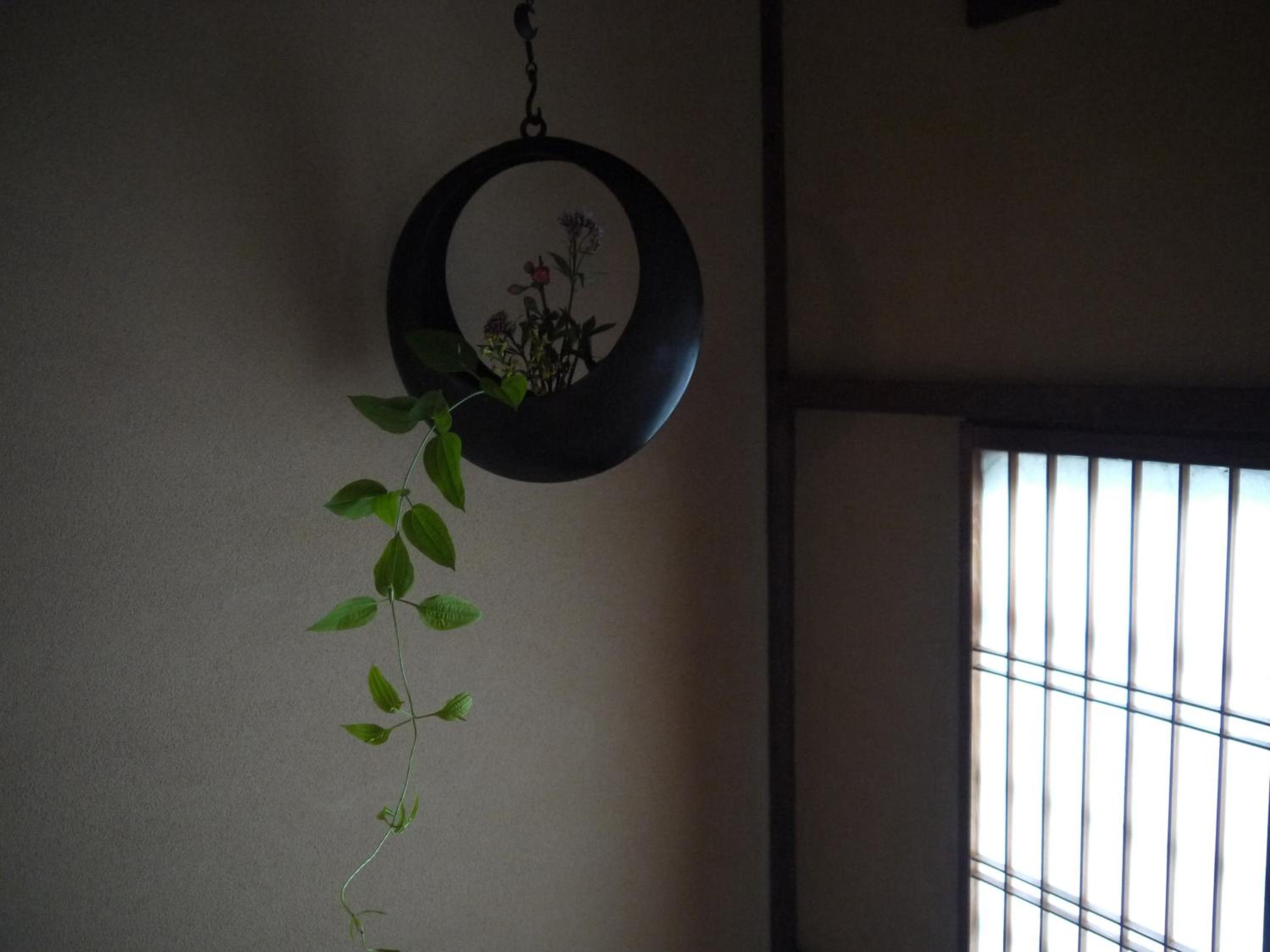 Photo 36