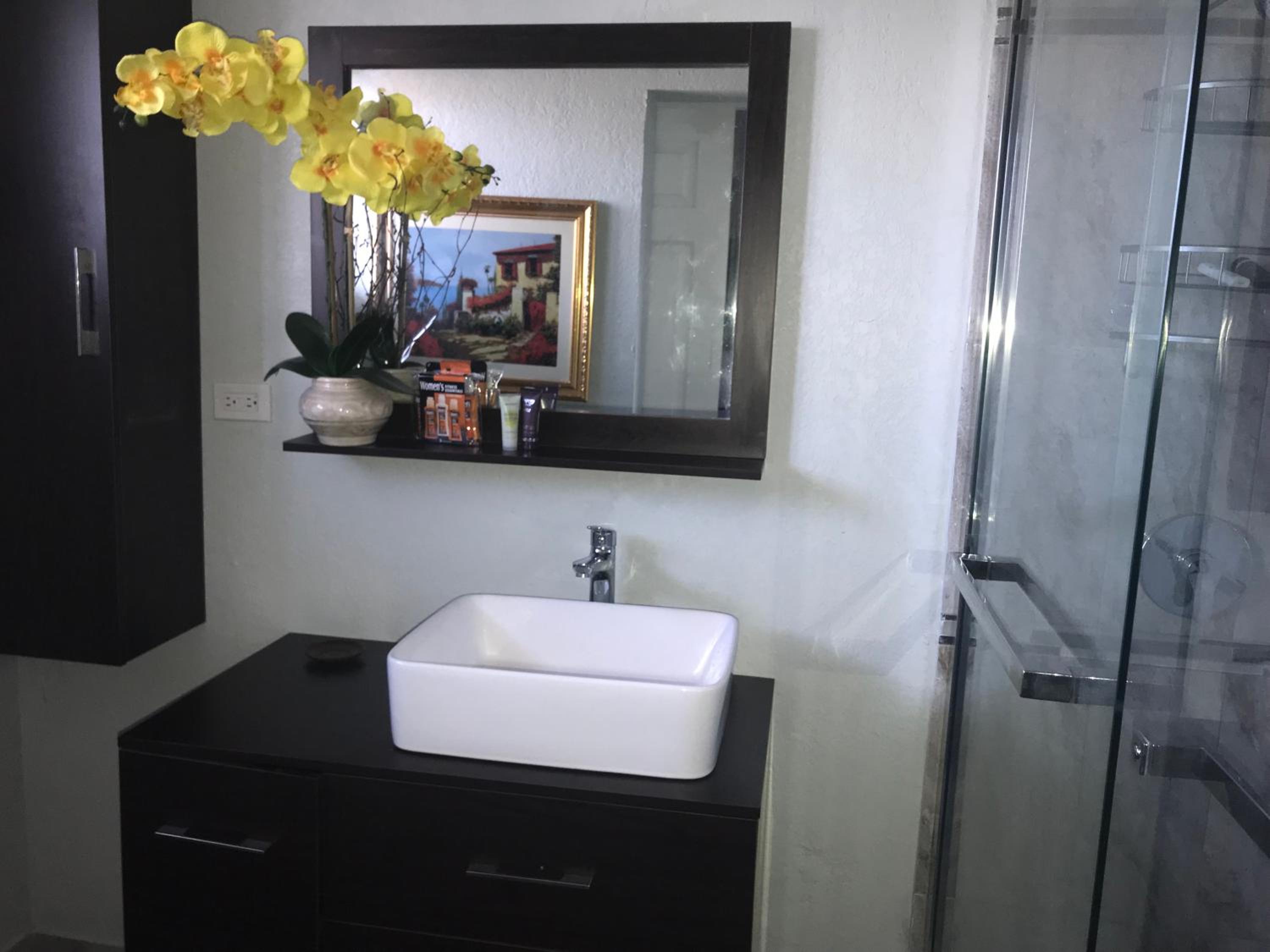 Abacus Jamaica the Zana Suites, photo 38