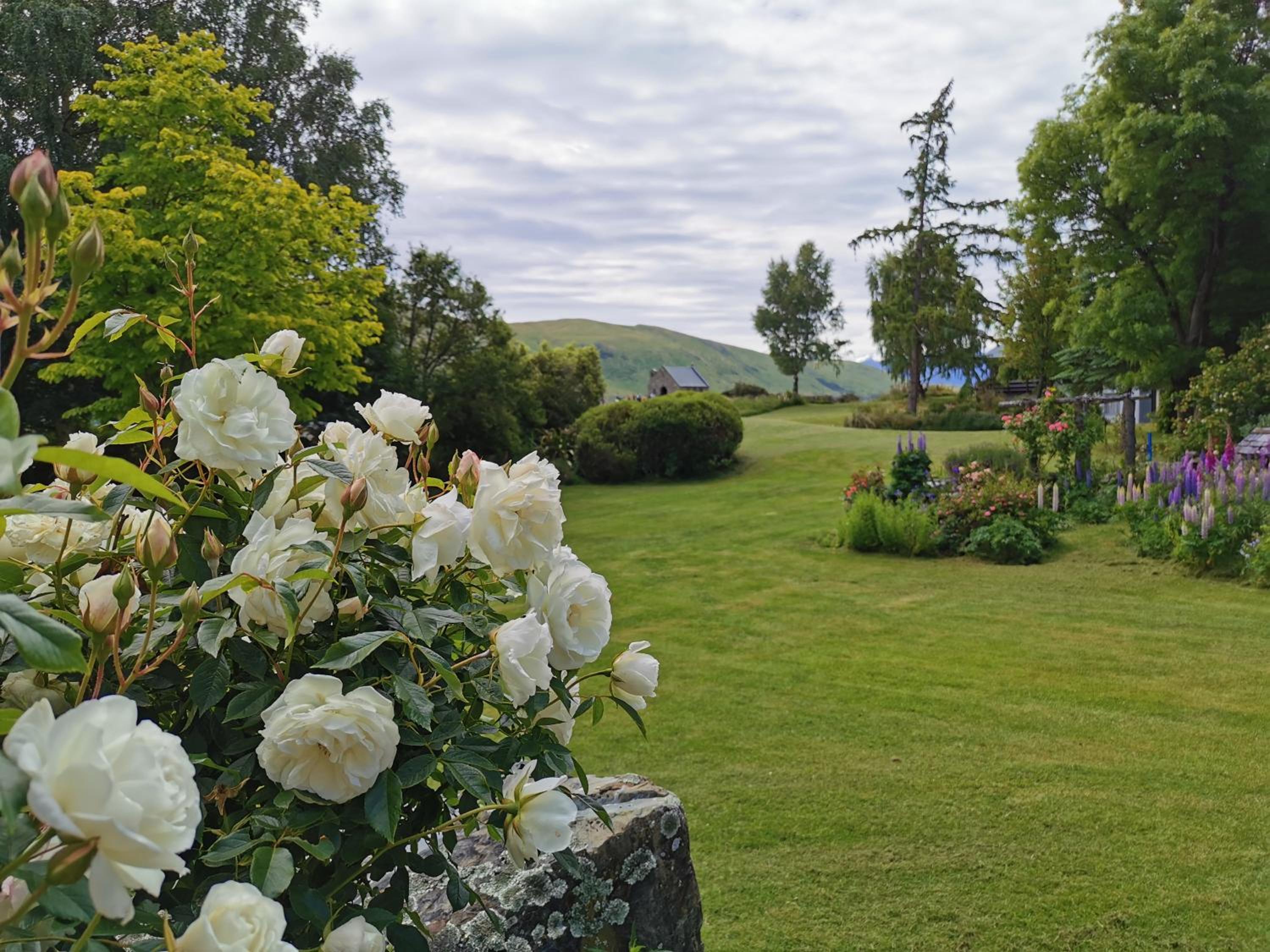 Star Dream Manor view 5