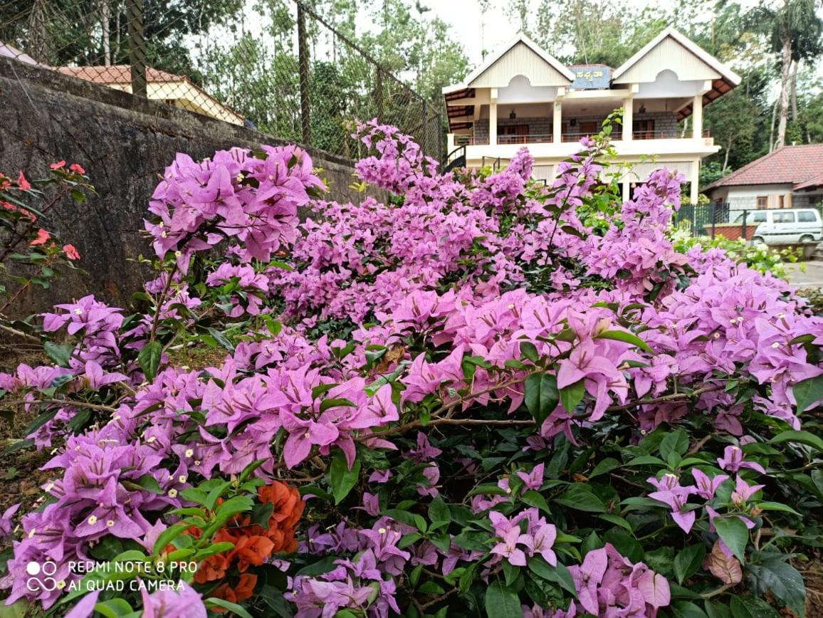Photo 45