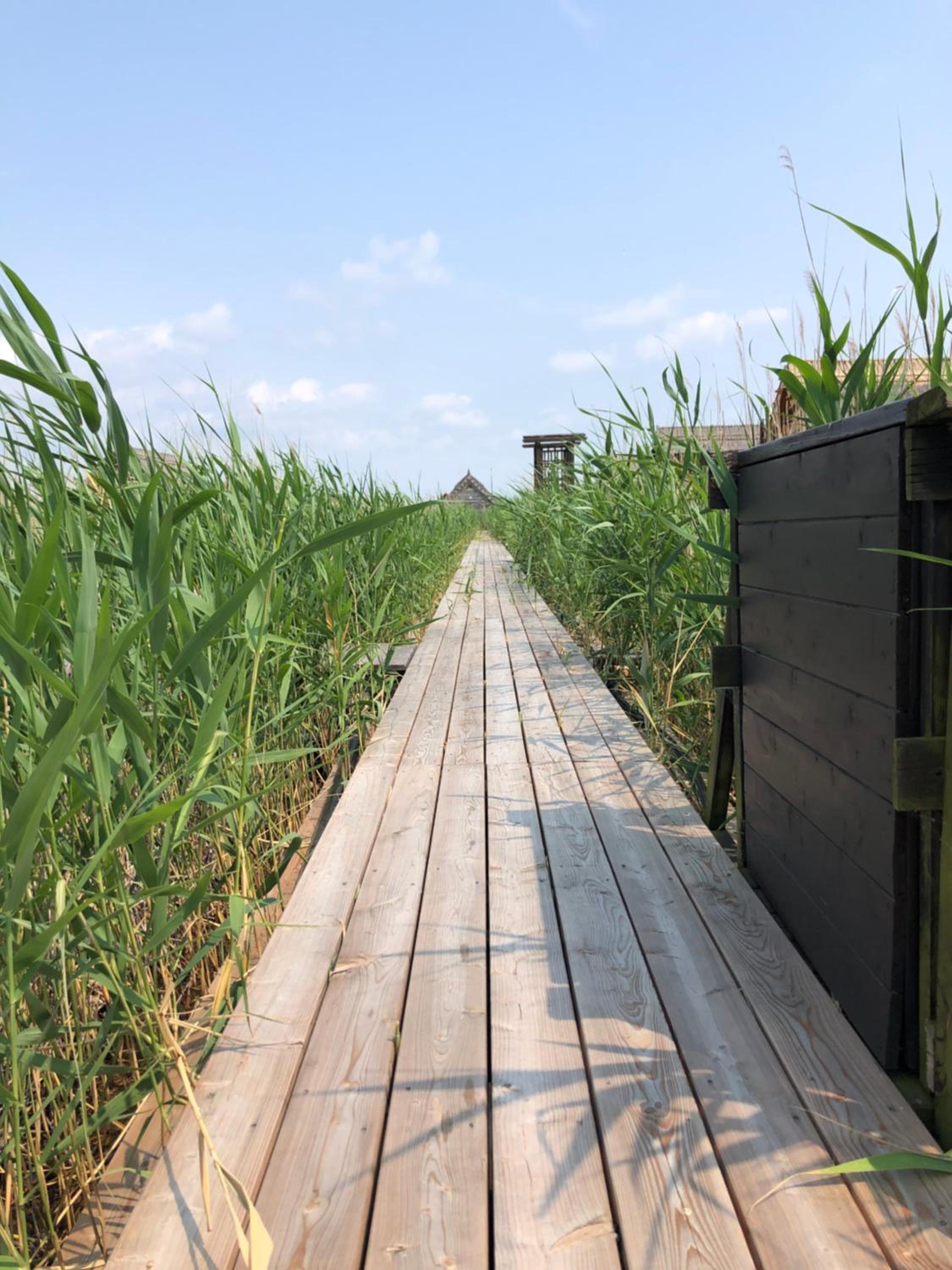 Seehütte Neusiedlersee Robinsonhütte